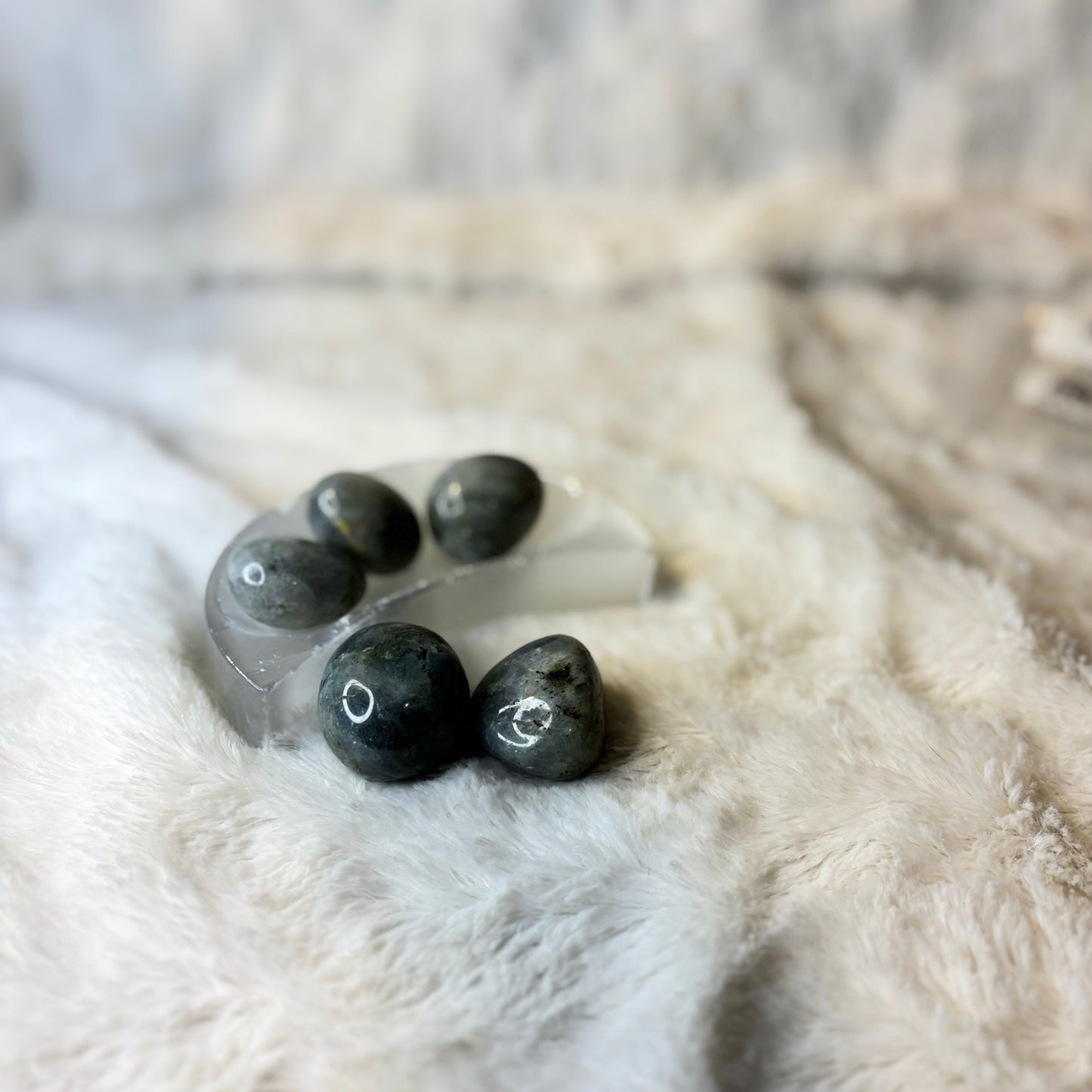 Stone Tumbled | Labradorite