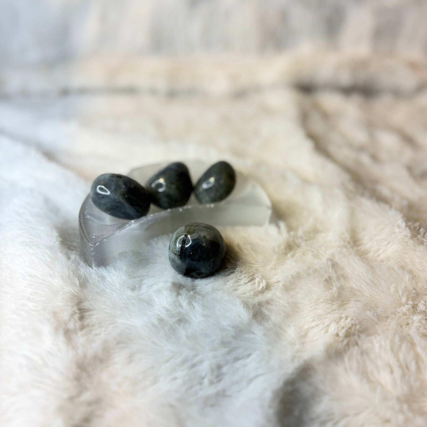 Stone Tumbled | Moonstone