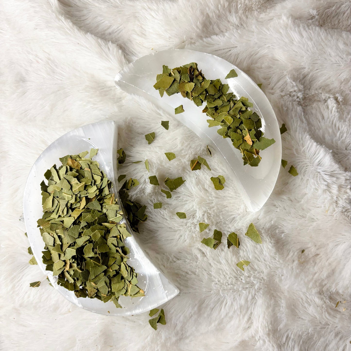 Dried Herbs | Bay Leaf Cut