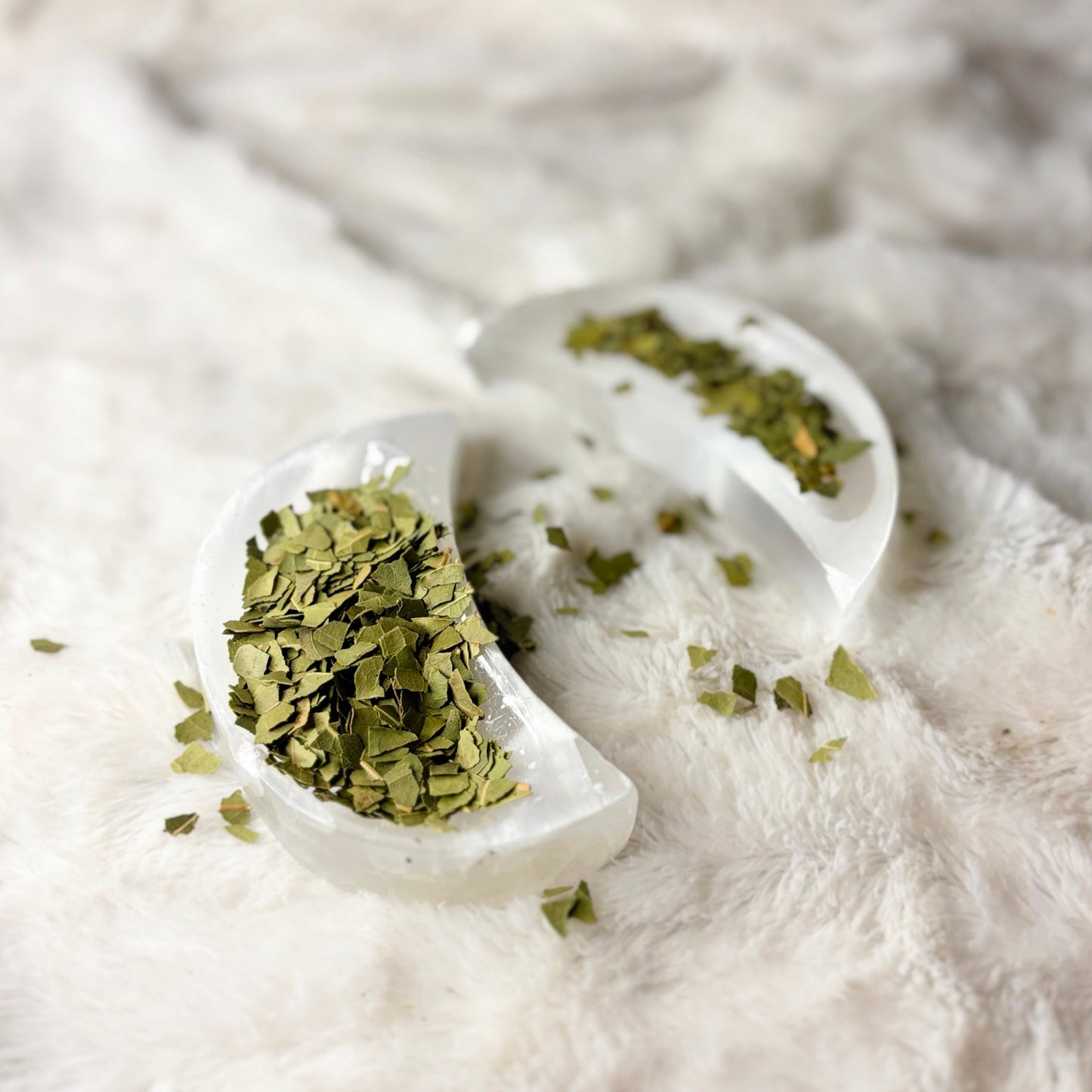 Dried Herbs | Bay Leaf Cut