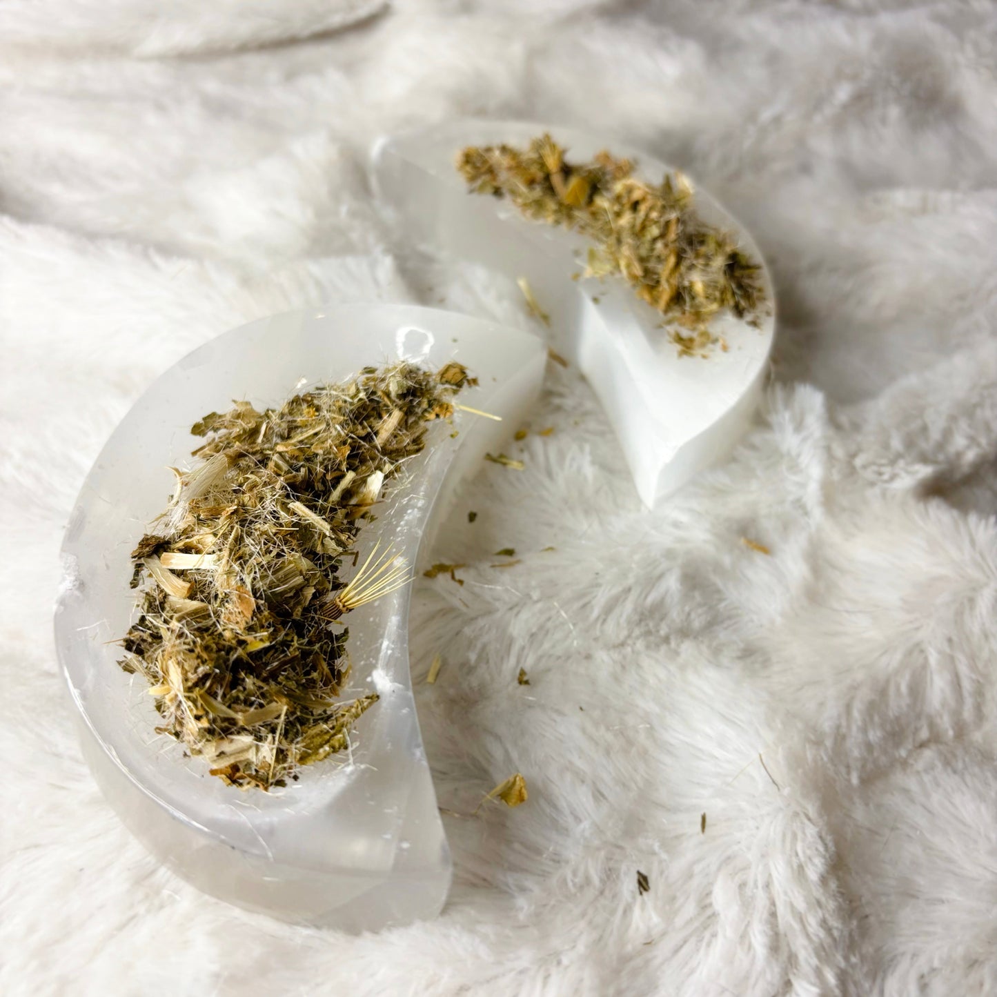 Dried Herbs | Blessed Thistle