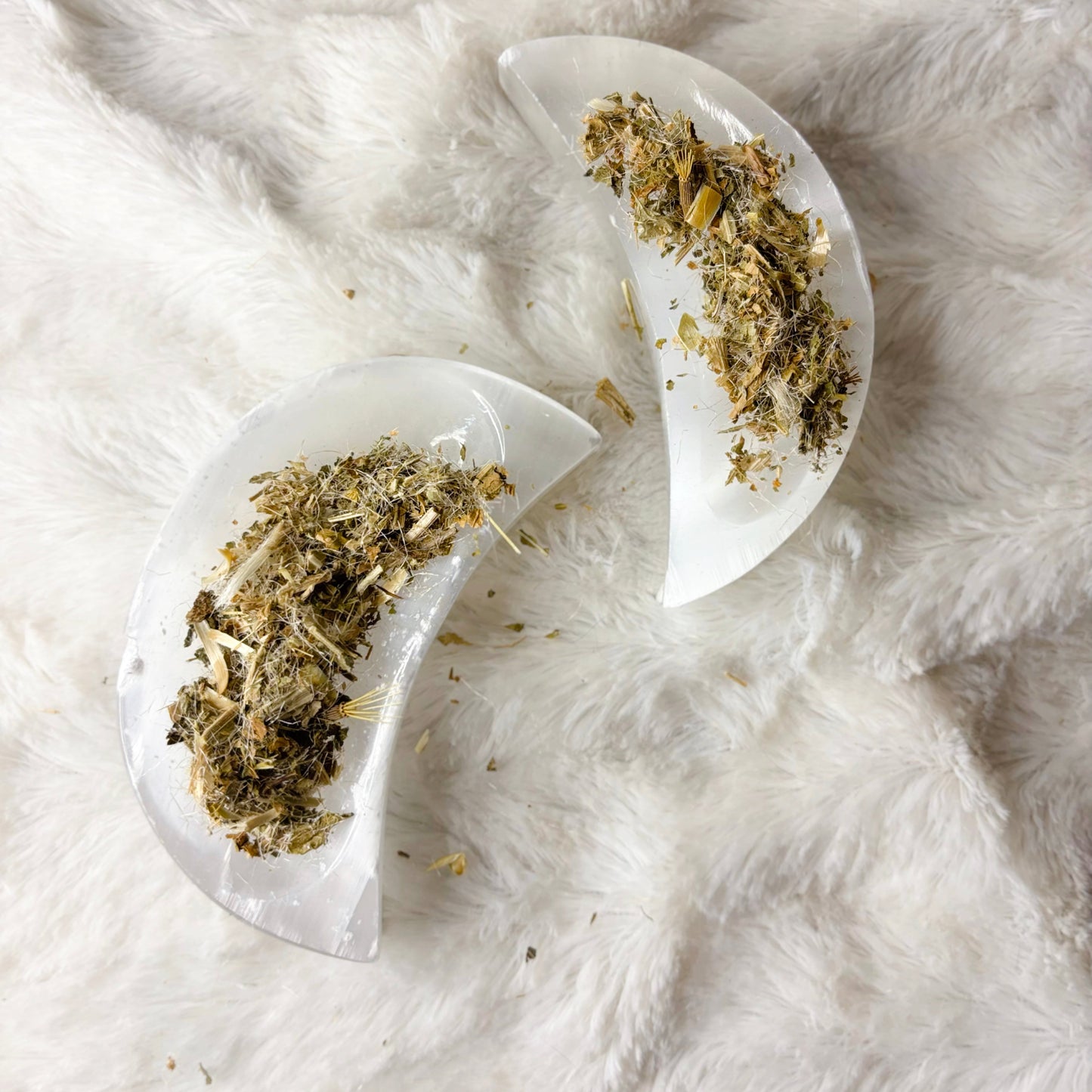 Dried Herbs | Blessed Thistle