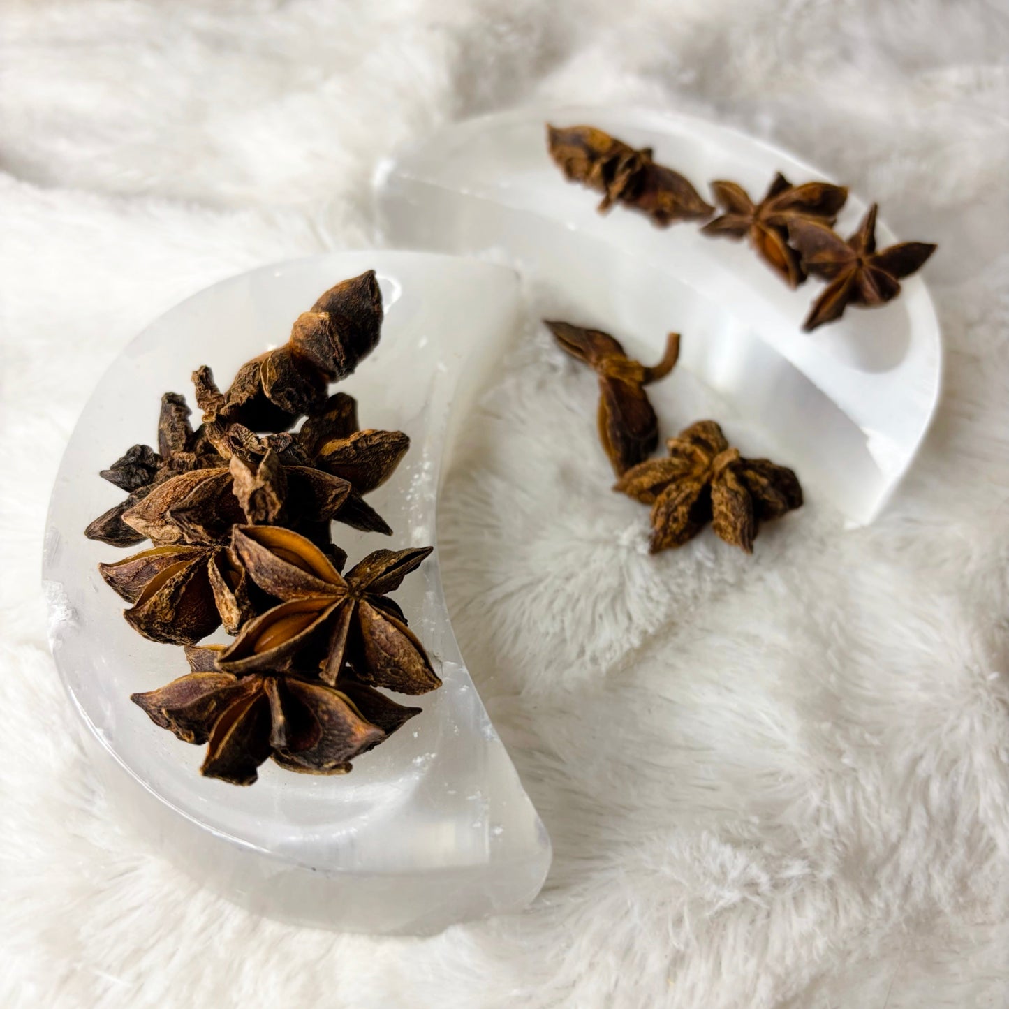 Dried Herbs | Star Anise