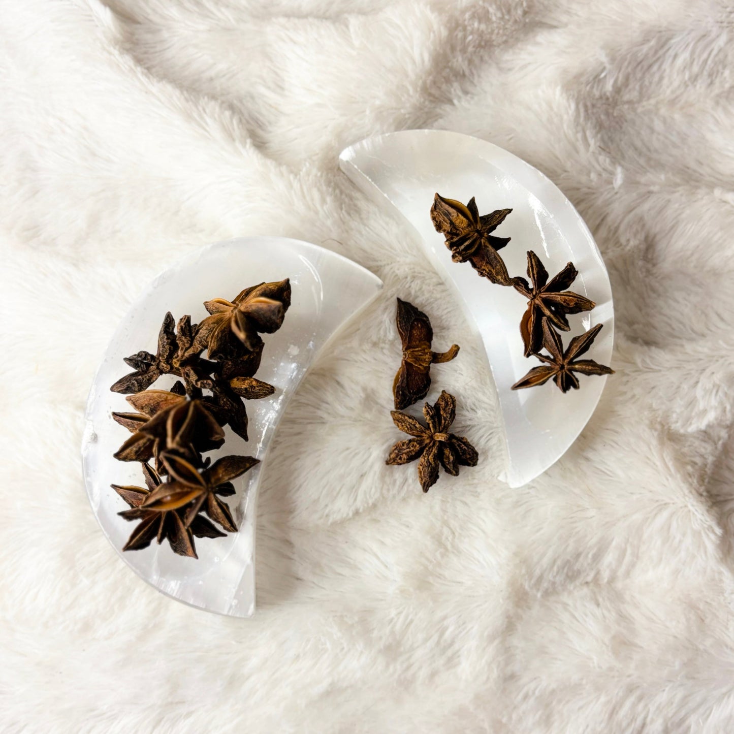 Dried Herbs | Star Anise