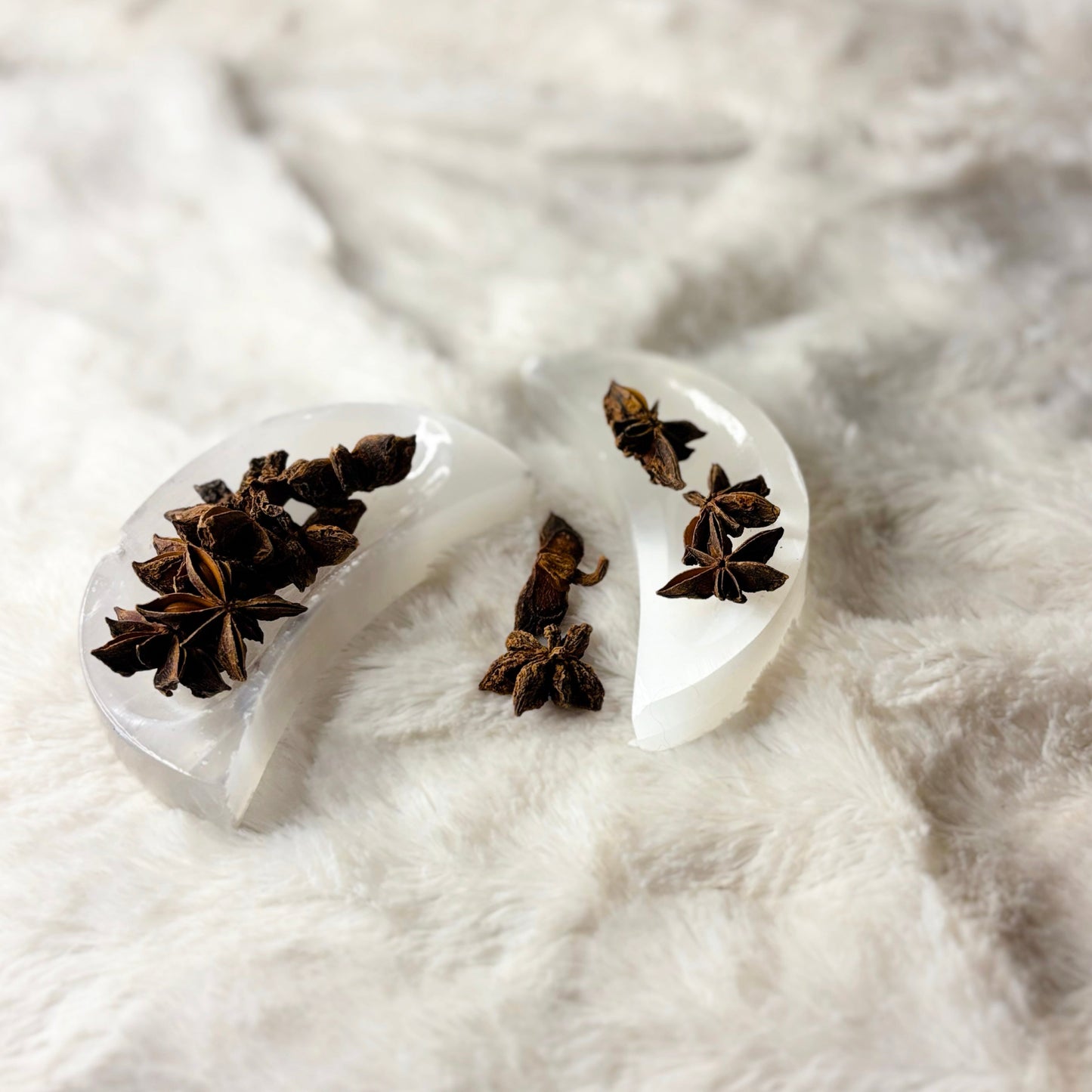 Dried Herbs | Star Anise