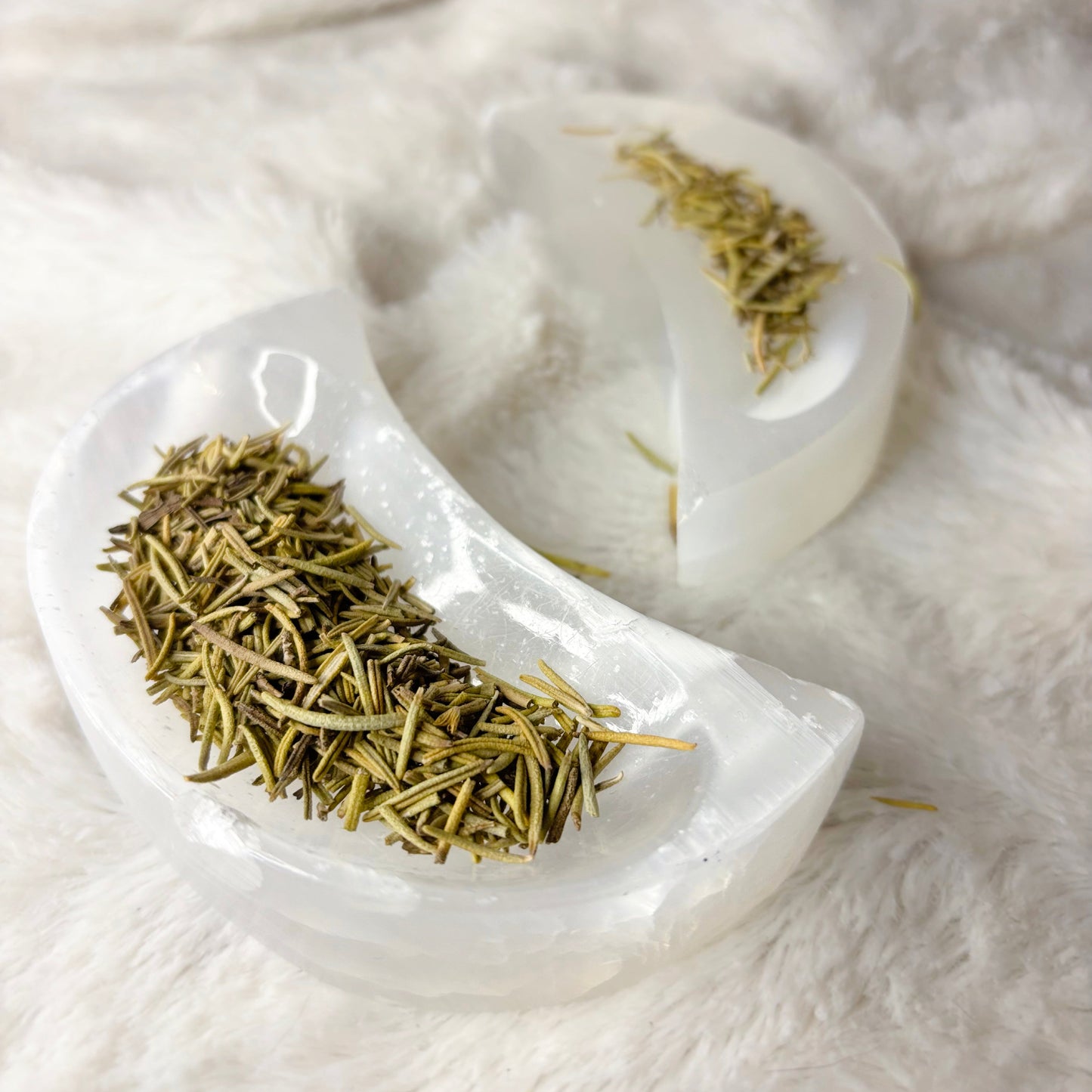 Dried Herbs | Rosemary