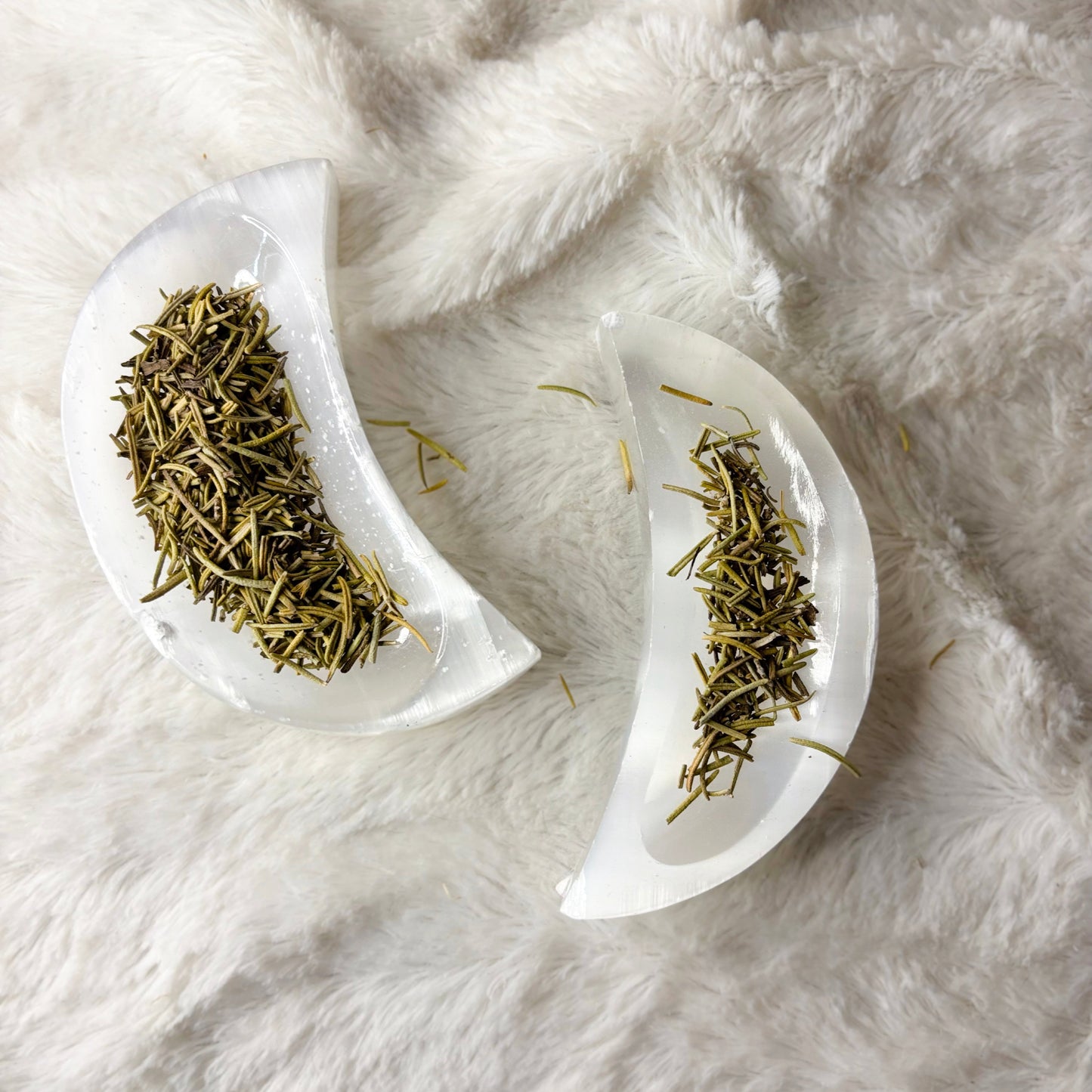 Dried Herbs | Rosemary