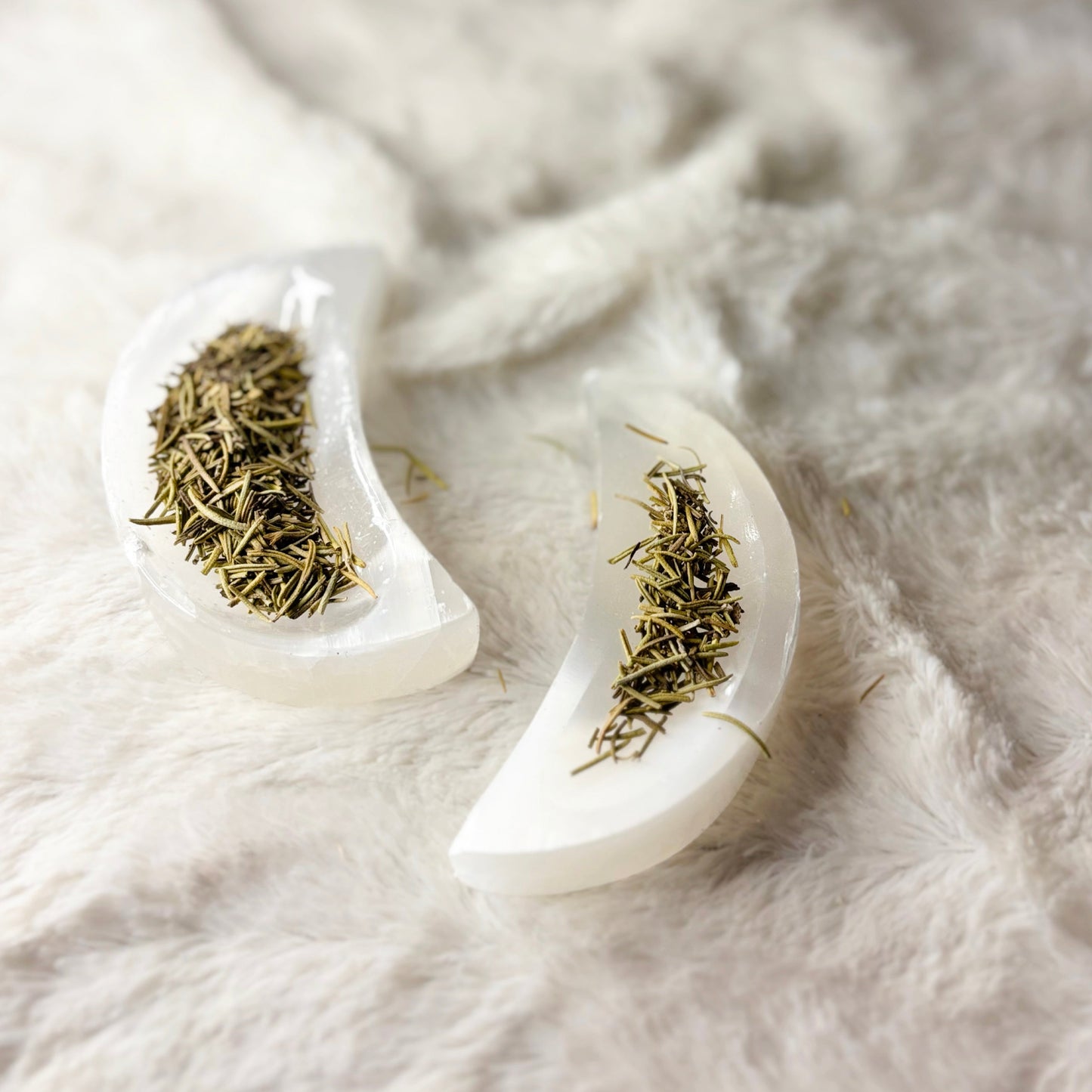 Dried Herbs | Rosemary