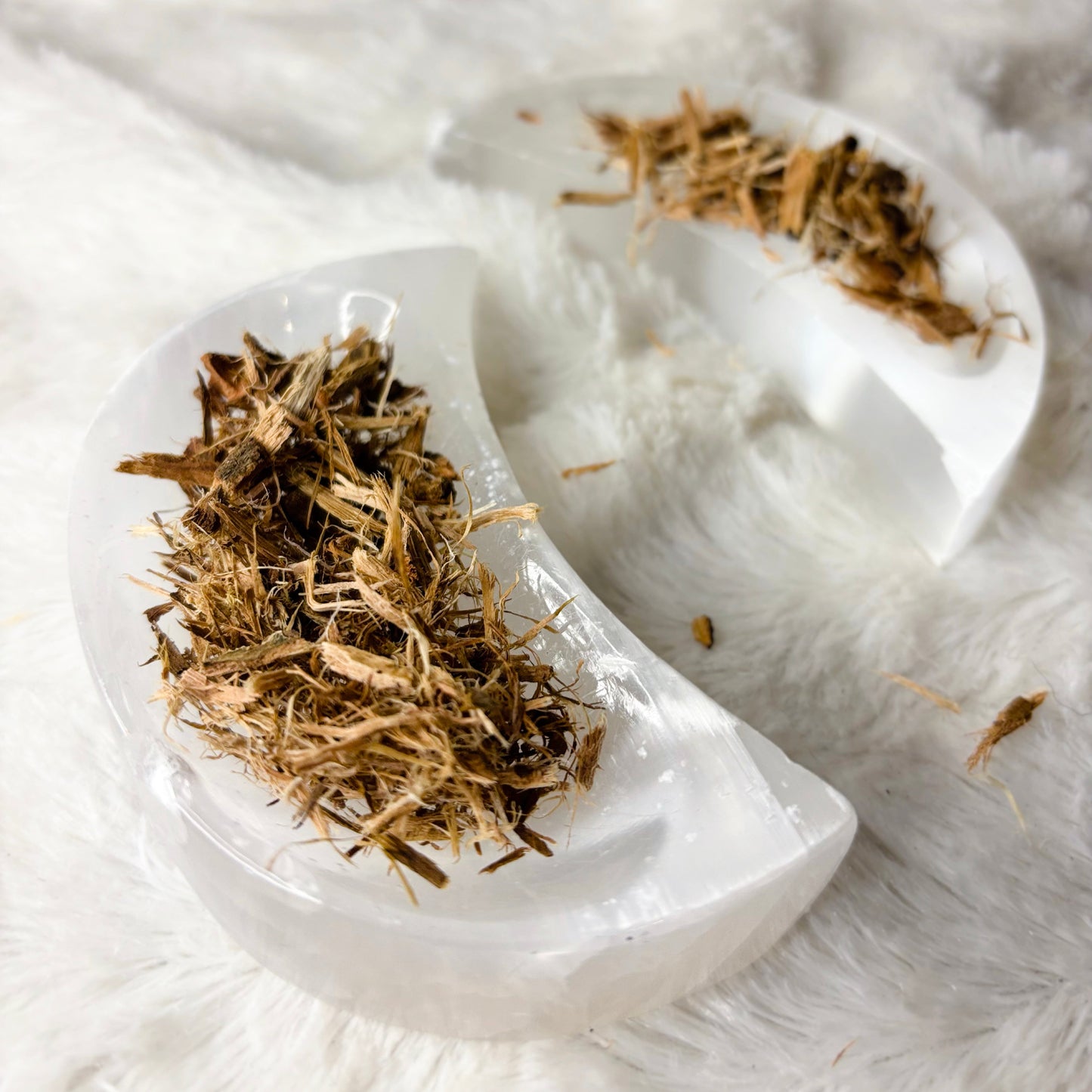 Dried Herbs | White Willow Bark