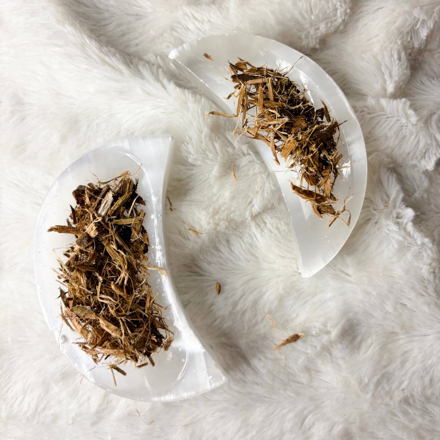Dried Herbs | White Willow Bark