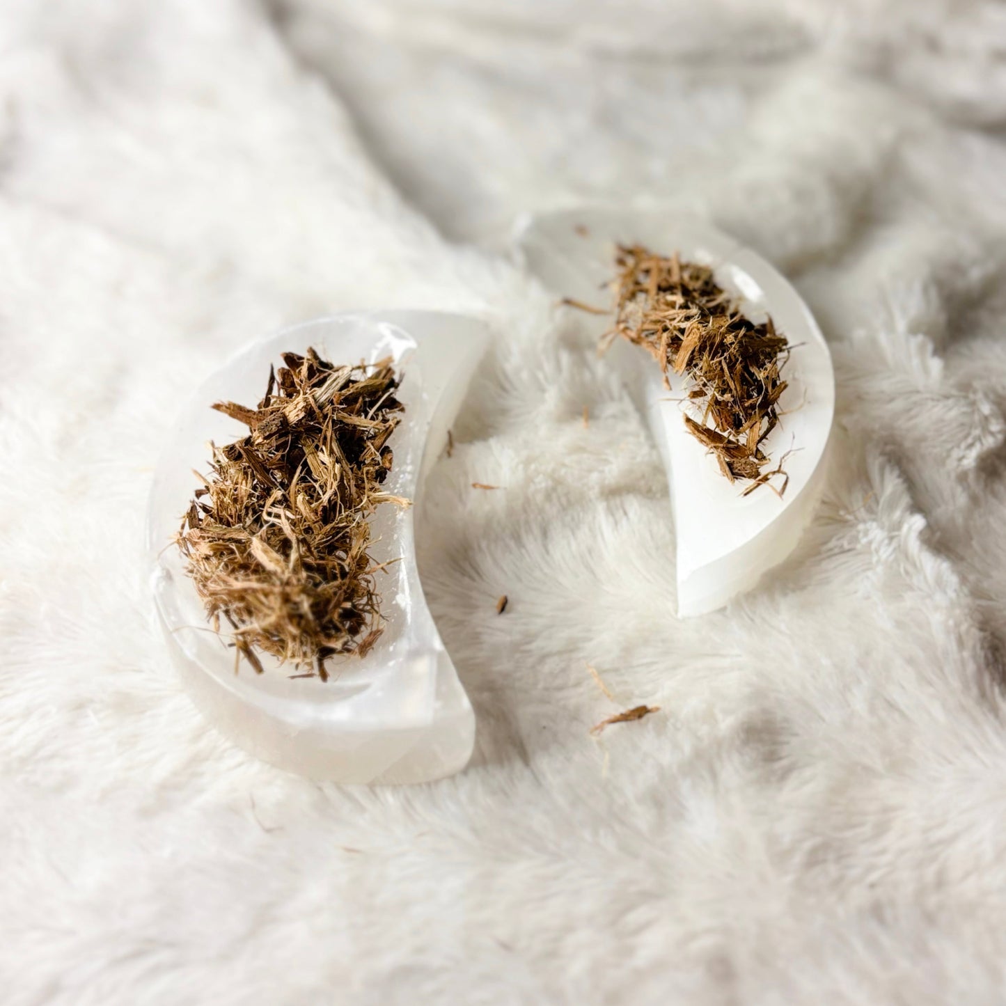 Dried Herbs | White Willow Bark