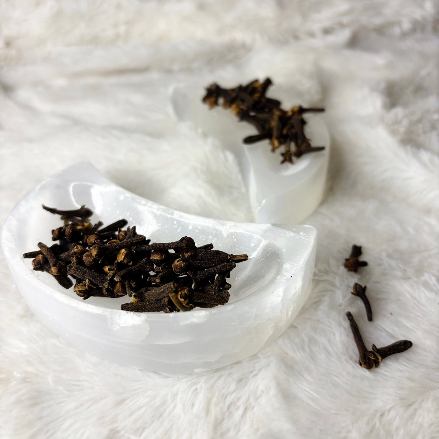Dried Herbs | Clove