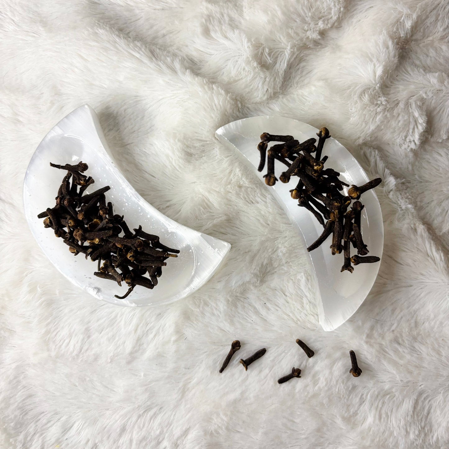 Dried Herbs | Clove