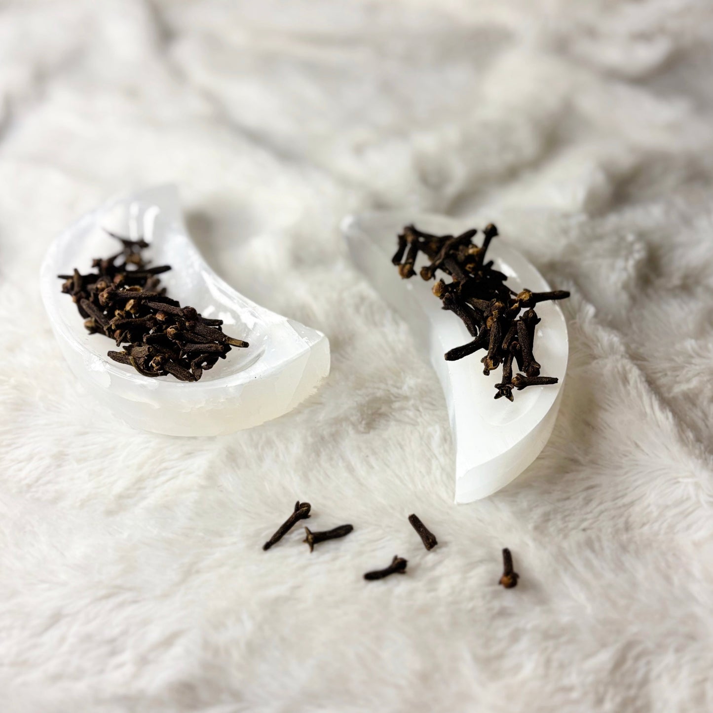 Dried Herbs | Clove