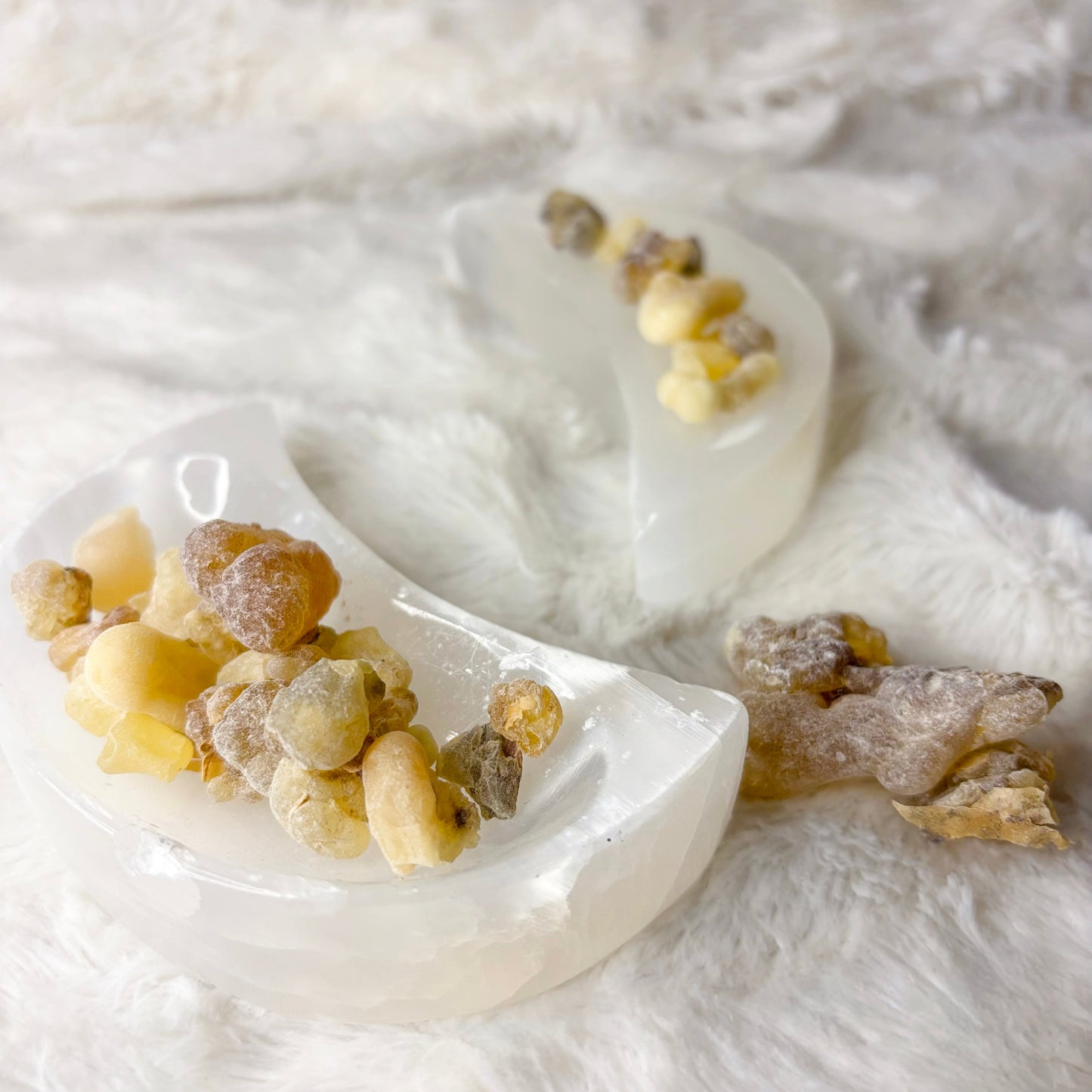 Dried Herbs | Frankincense