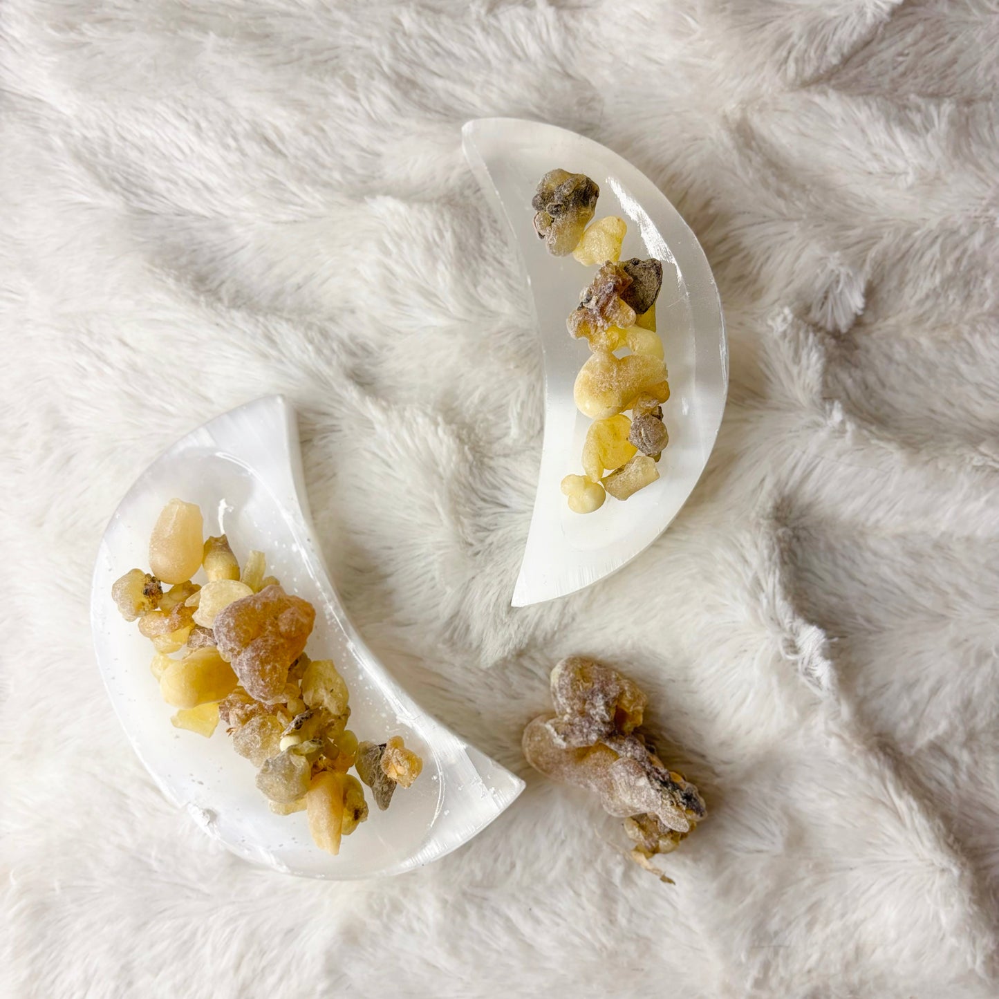 Dried Herbs | Frankincense