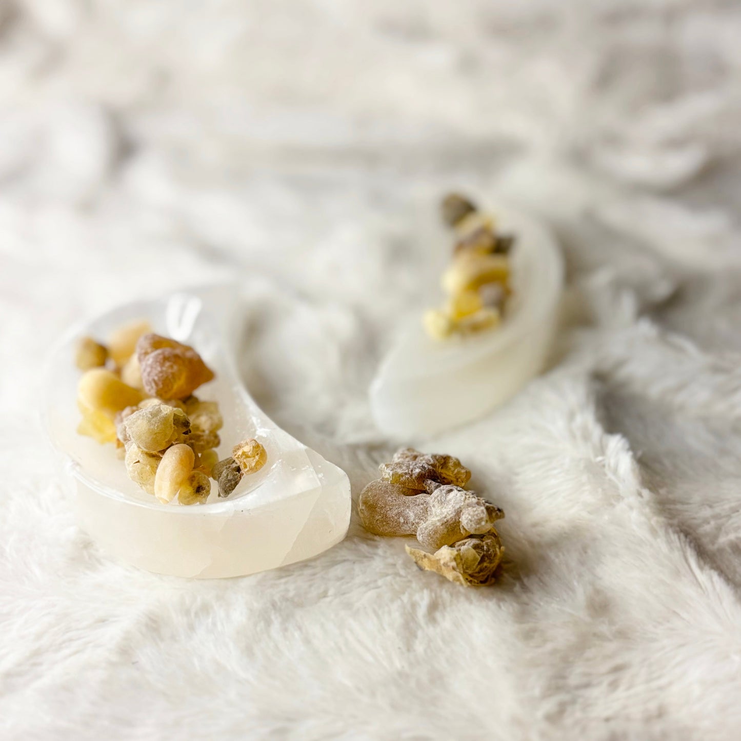 Dried Herbs | Frankincense