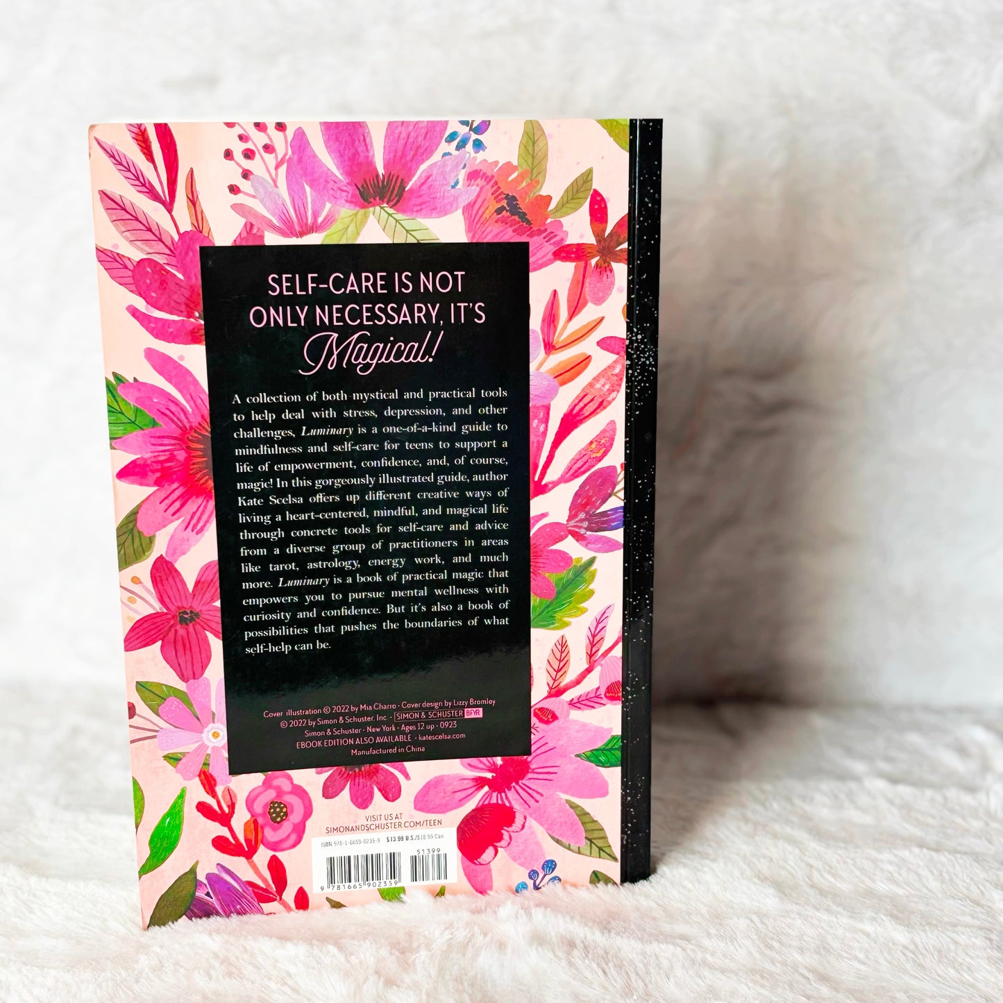 Back of the book "Luminary" on a white background
