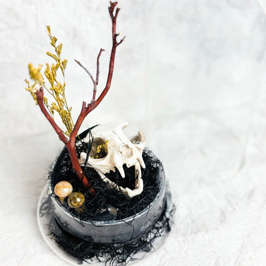 A small decorative tabletop arrangement in a round black dish, featuring a white animal skull, dark branches, gold-toned beads, and dried yellow grass on a white textured surface.