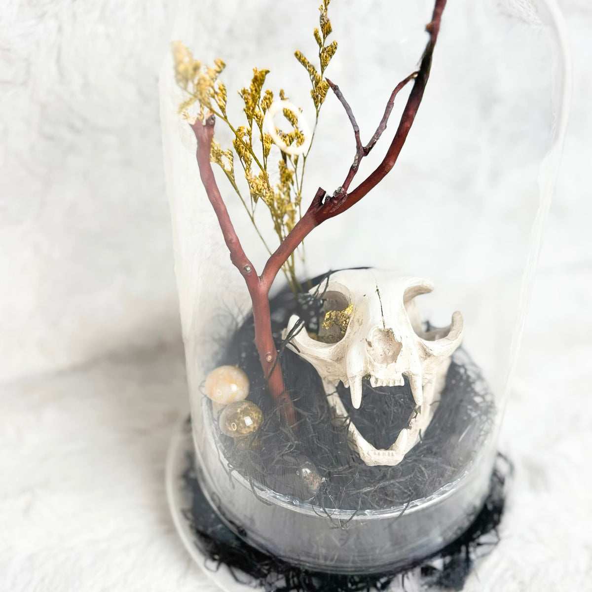 A gothic-style miniature terrarium under a clear glass cloche, featuring a white animal skull, a brown twig branch with gold glittery foliage, black moss, and small pearl-like beads on a white textured background.