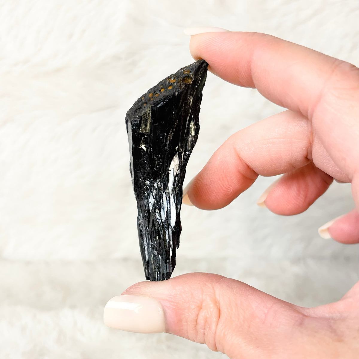 Hand holding a Vivianite specimen on a white background