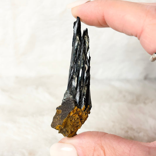 Hand holding a Vivianite specimen on a white background