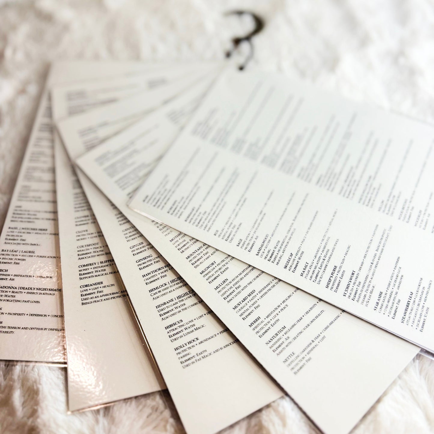 Herb Information Cards