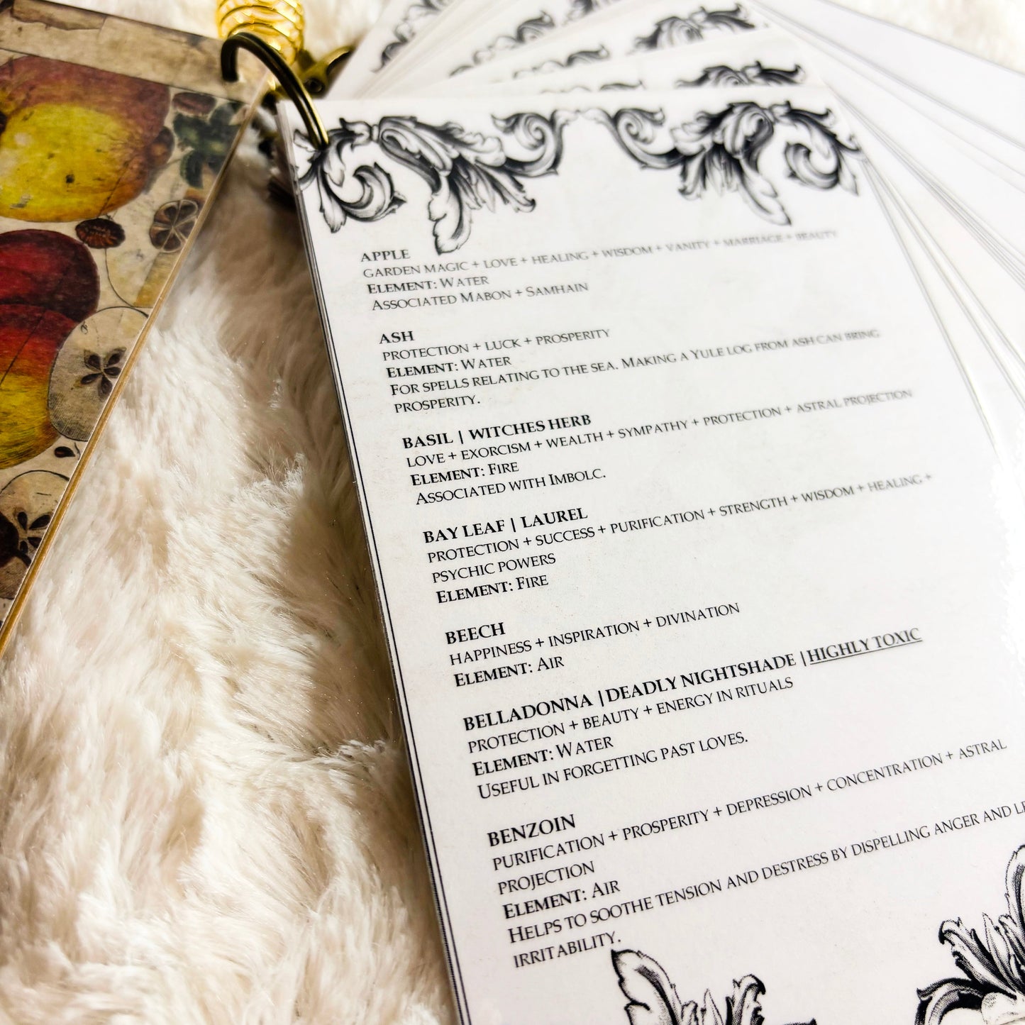 Herb Information Cards