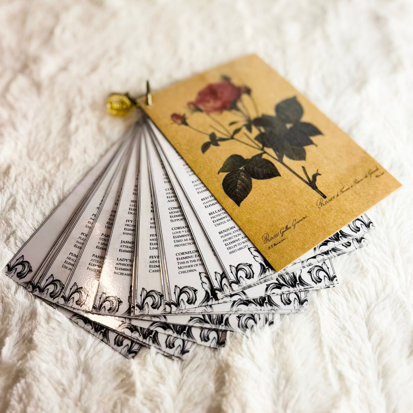 Herb Information Cards