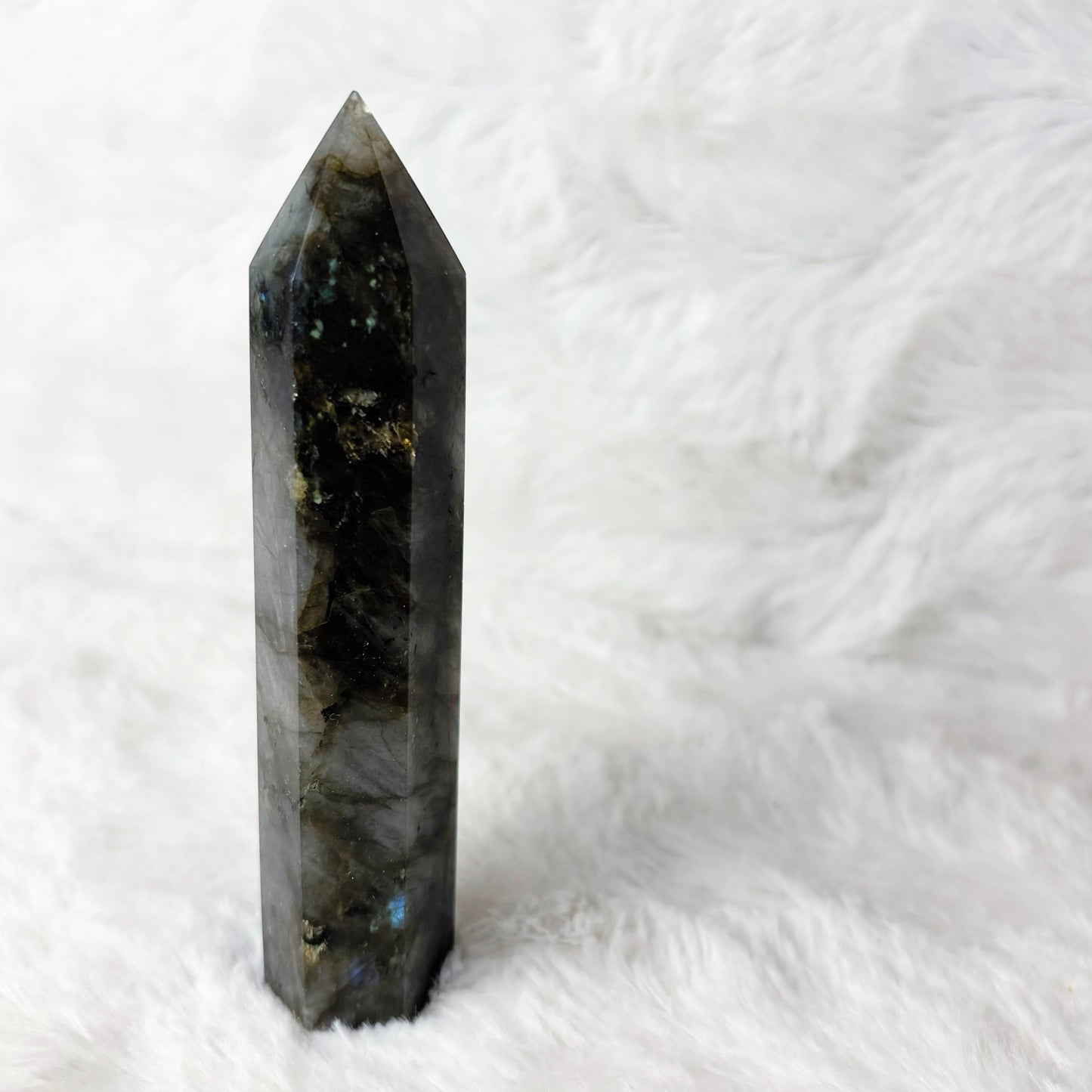 Generator | Labradorite