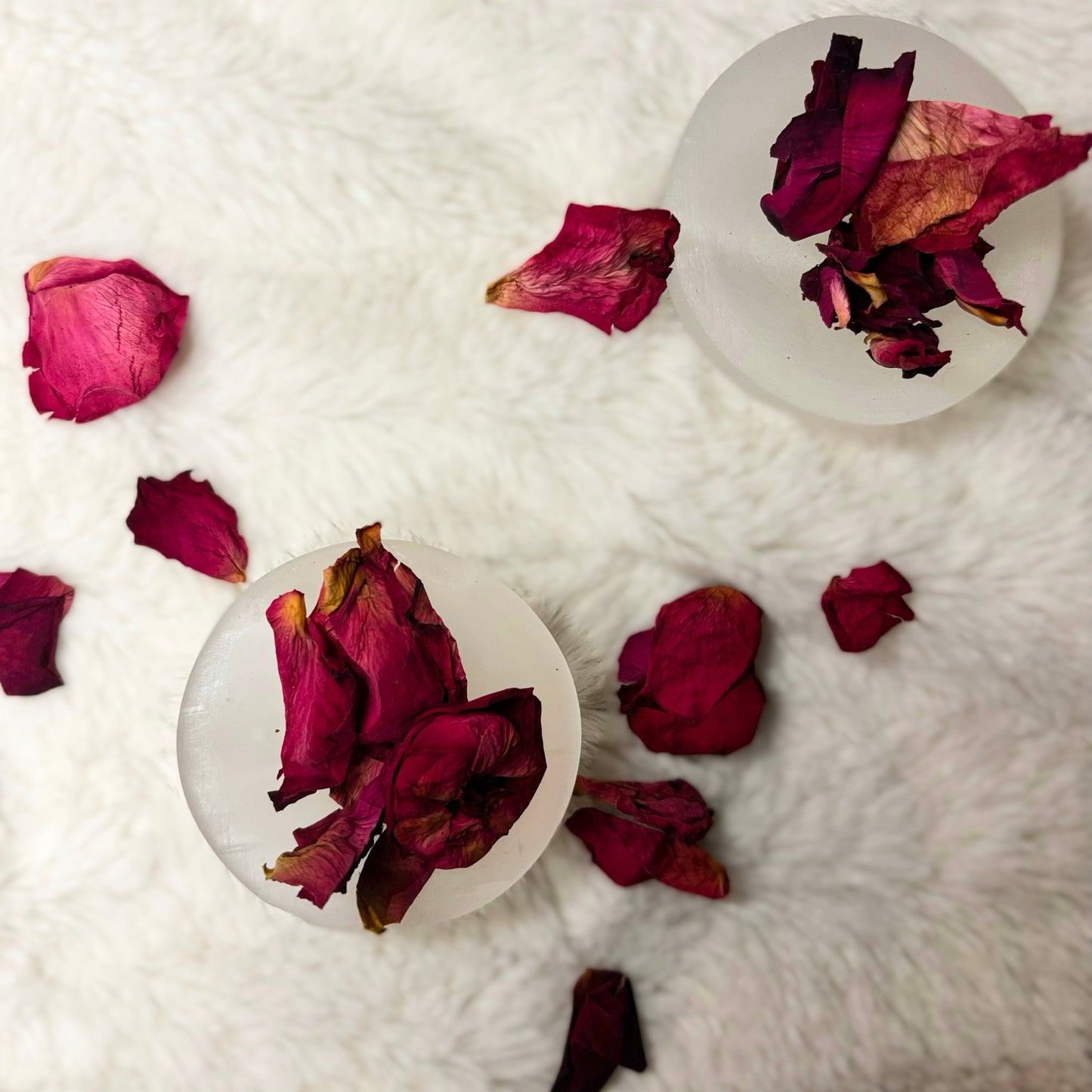 Dried Herbs | Rose