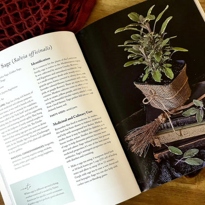 Green Witch Magick: Essential Plants and Crafty Spellwork for a Witch’s Cupboard