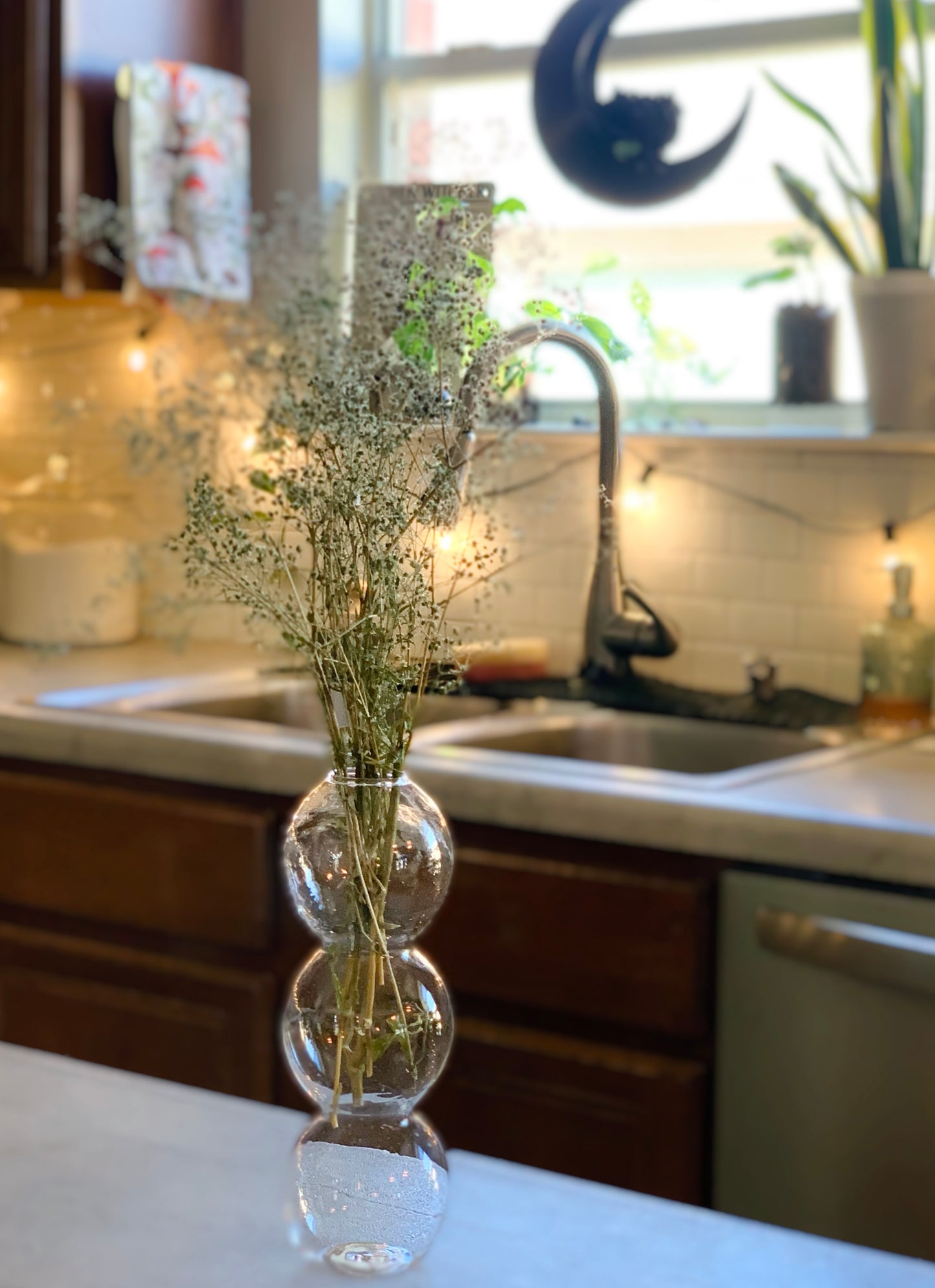 Bubble Vases For Propagation & Hydroponics