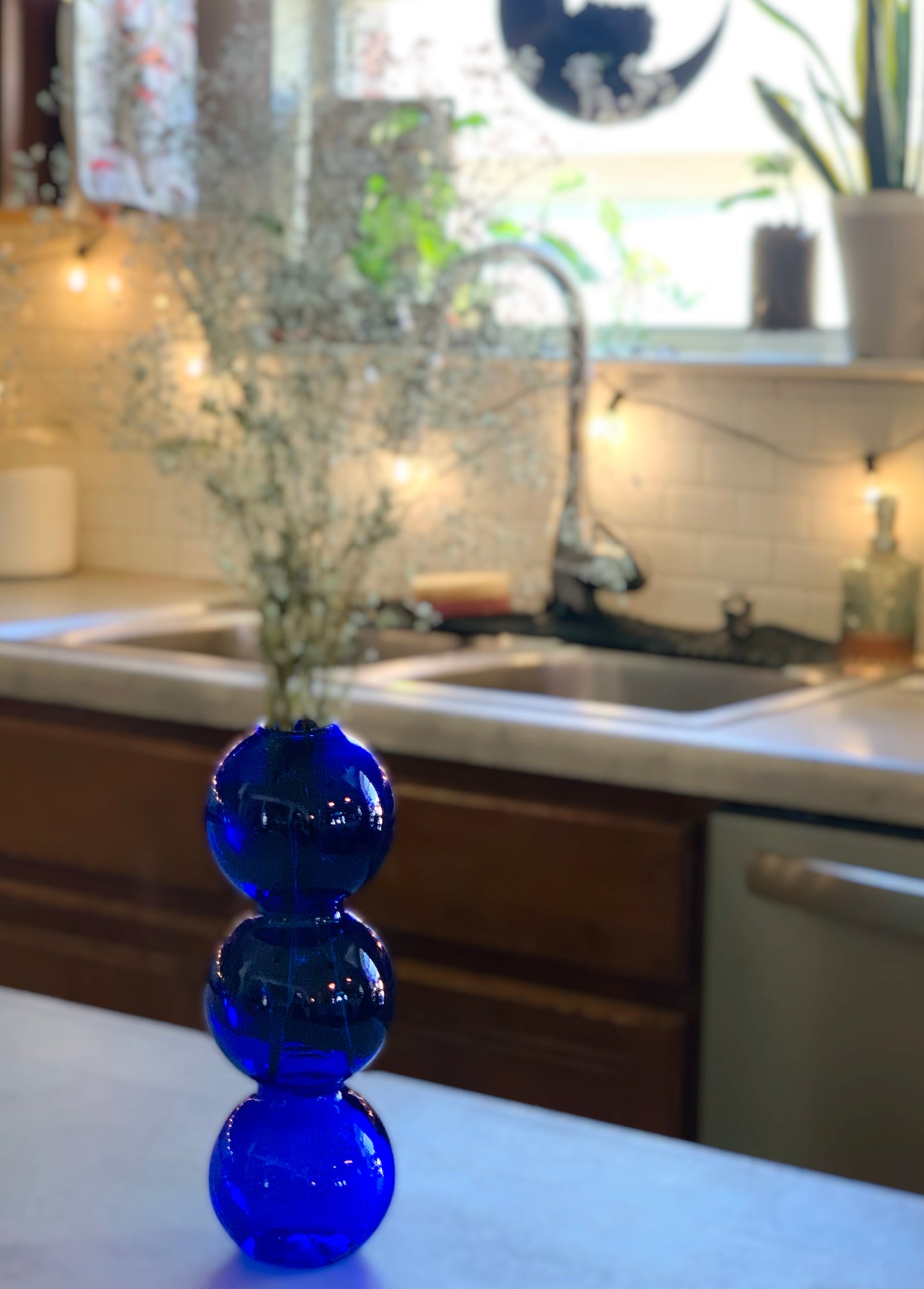 Bubble Vases For Propagation & Hydroponics