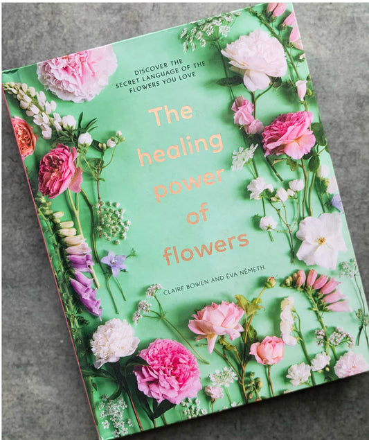 The Healing Power of Flowers: Discover the Secret Language of the Flowers You Love