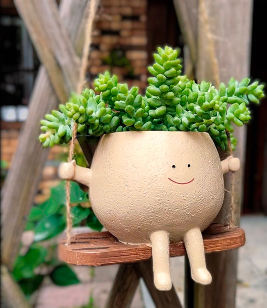 Happy Swinger Succulent & Plant Pot