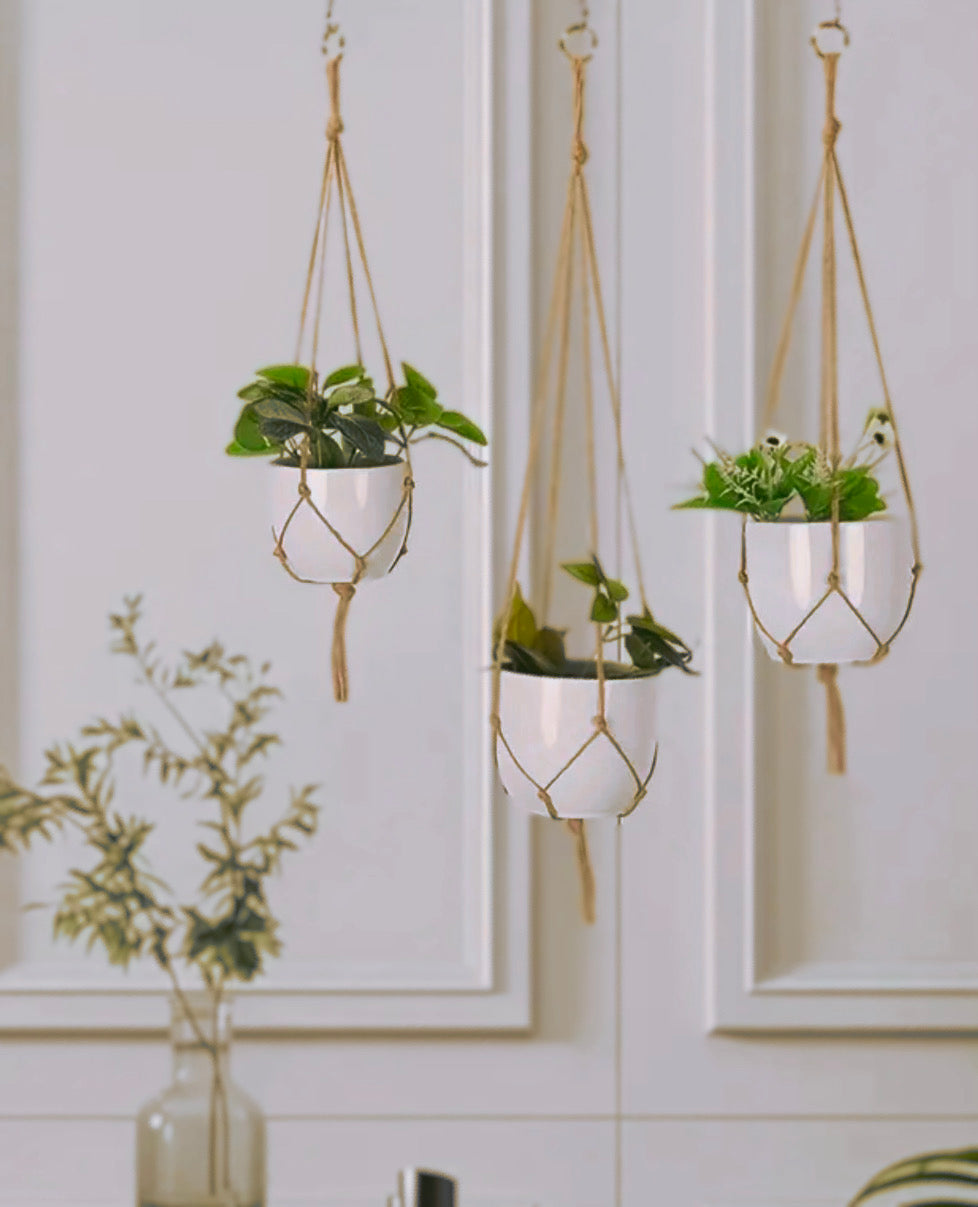 Macrame Plant Hanger