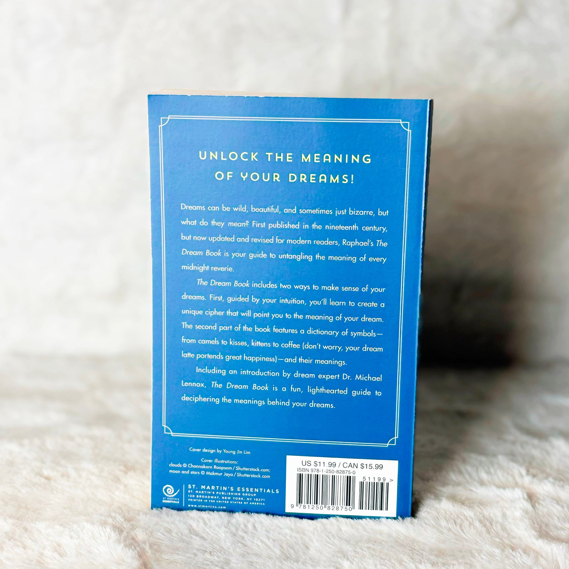Back of the book "The Dream Book" on a white background