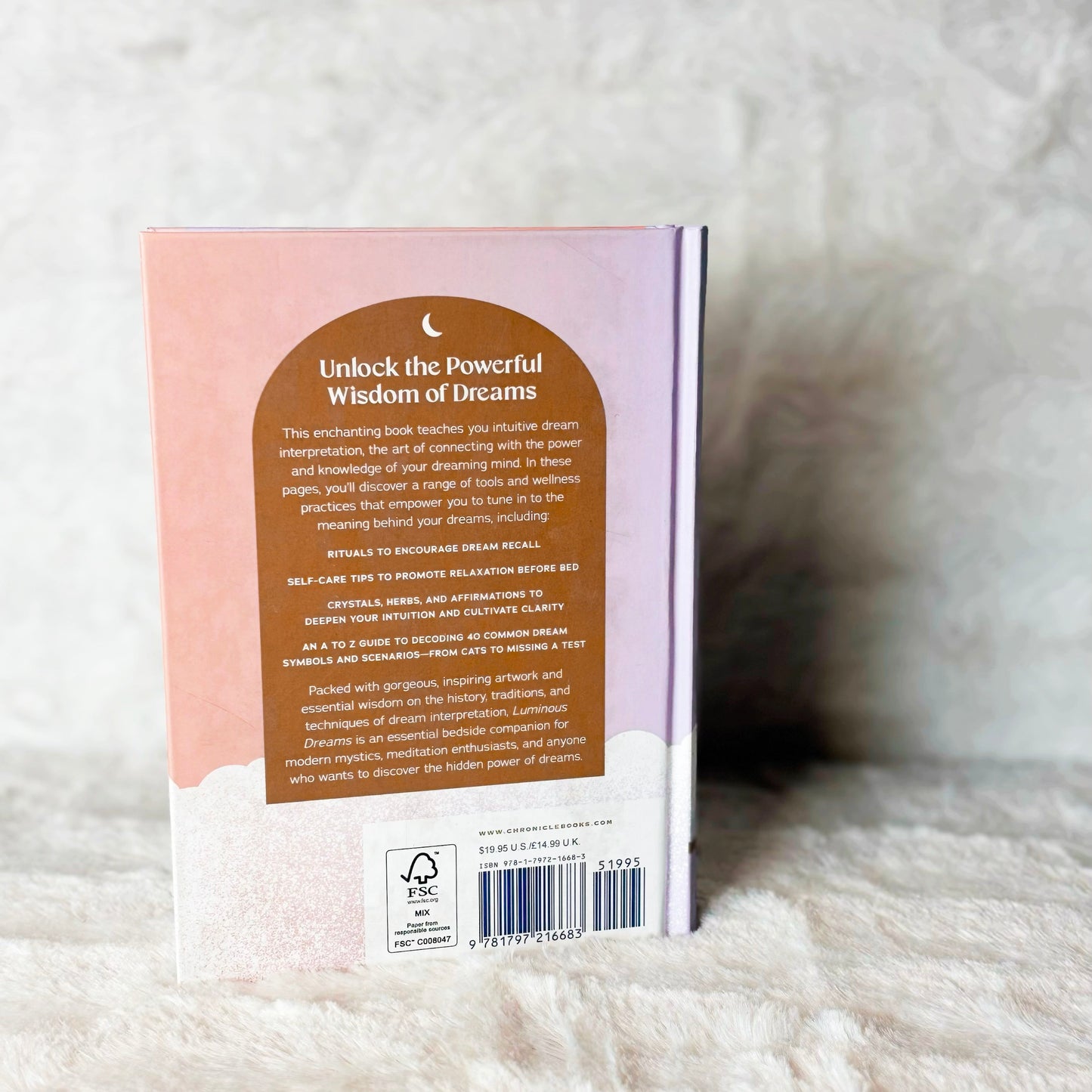 Back of book "Luminous Dreams" on a white background