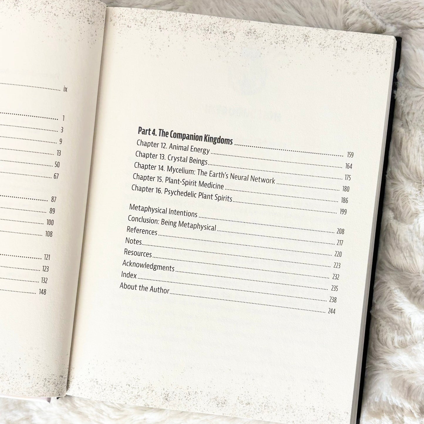 Contents page of the book "Metaphysical AF" on a white background