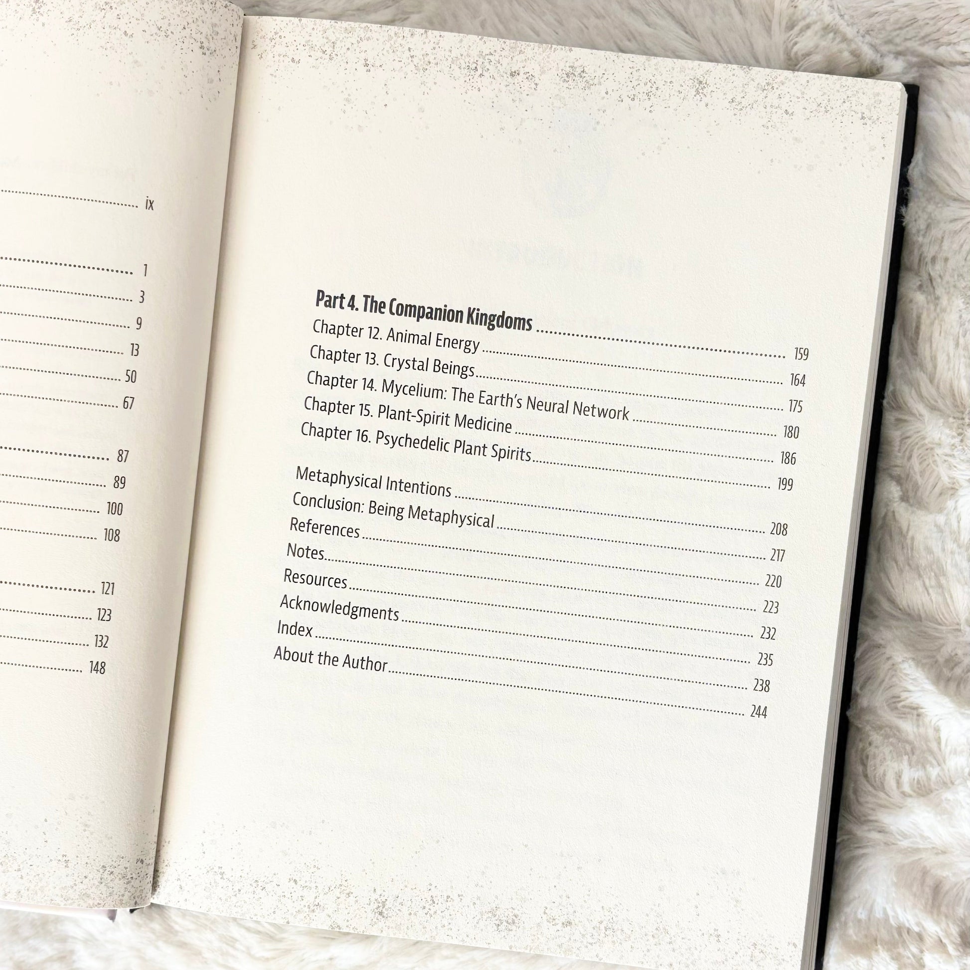 Contents page of the book "Metaphysical AF" on a white background