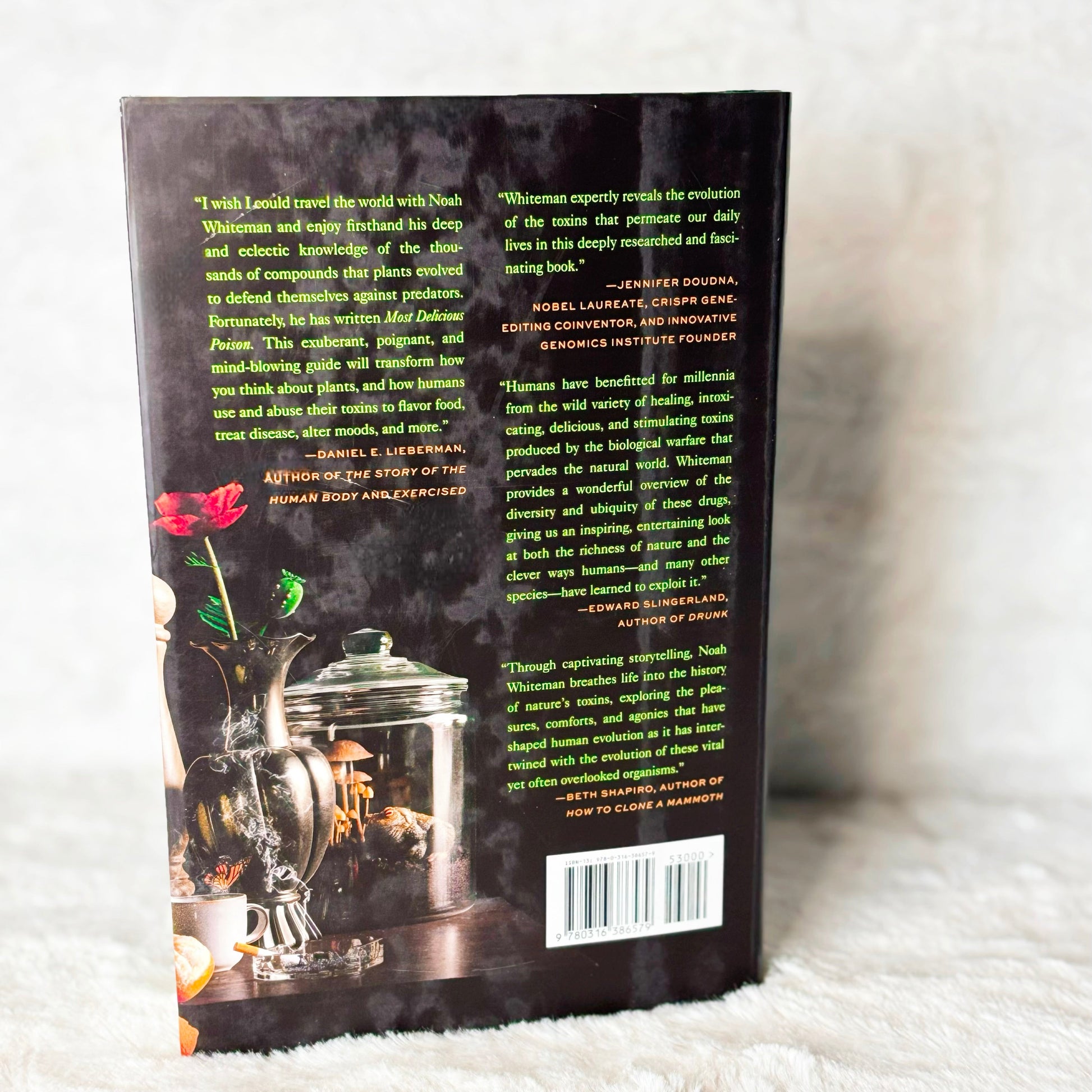 Back of the book "Most Delicious Poison" on a white background