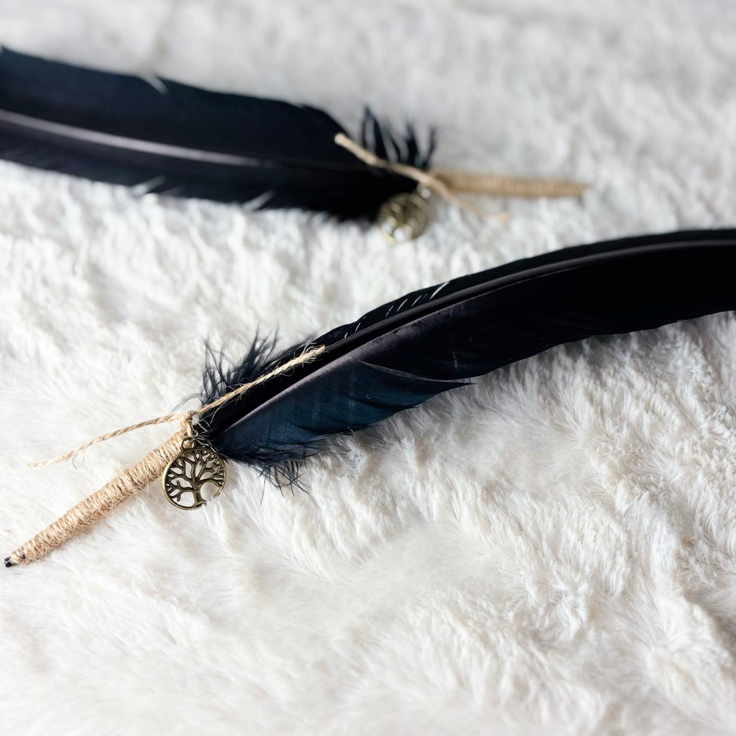 Two black feathers with decorative elements on a white textured surface