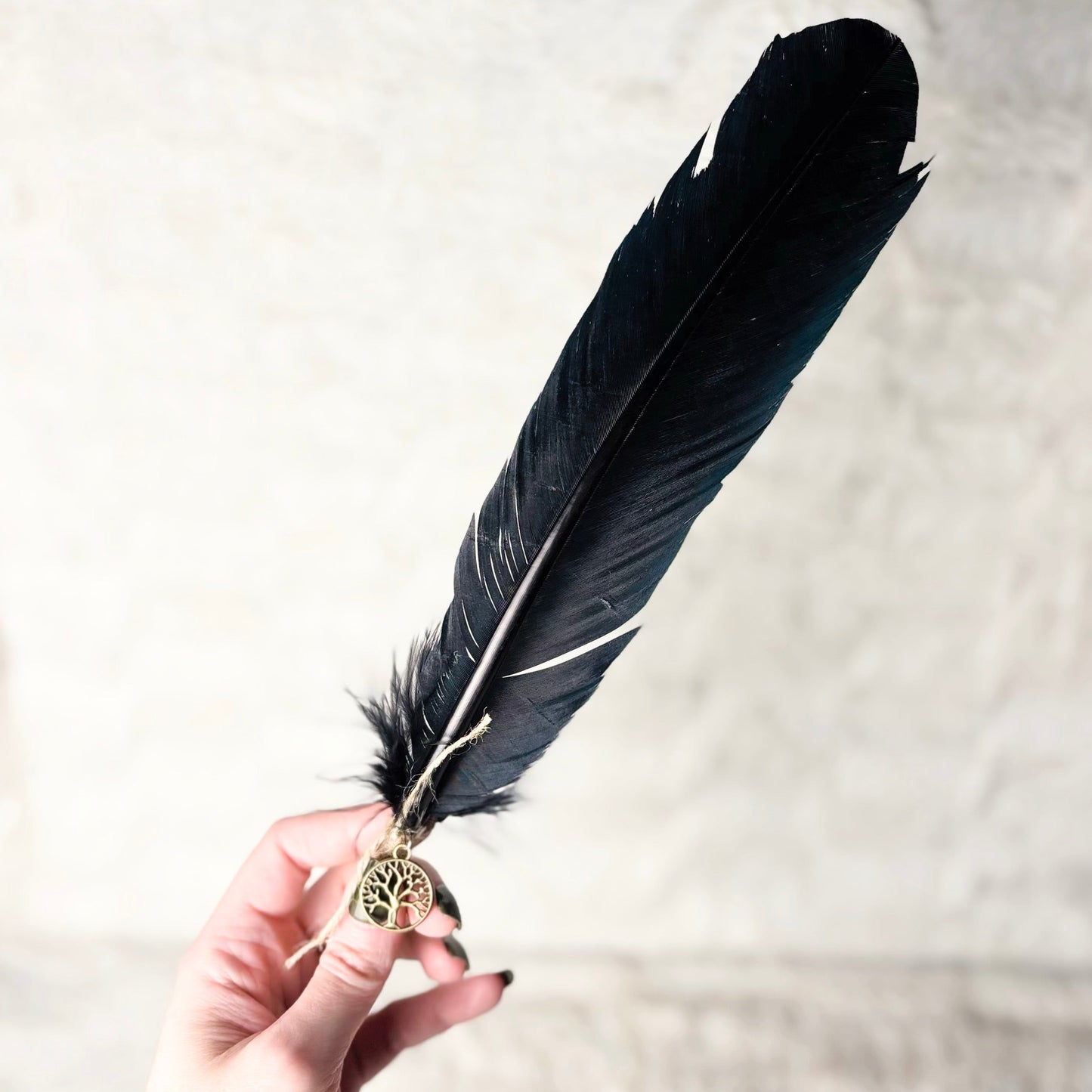 Hand holding a black feather with a decorative element against a light background