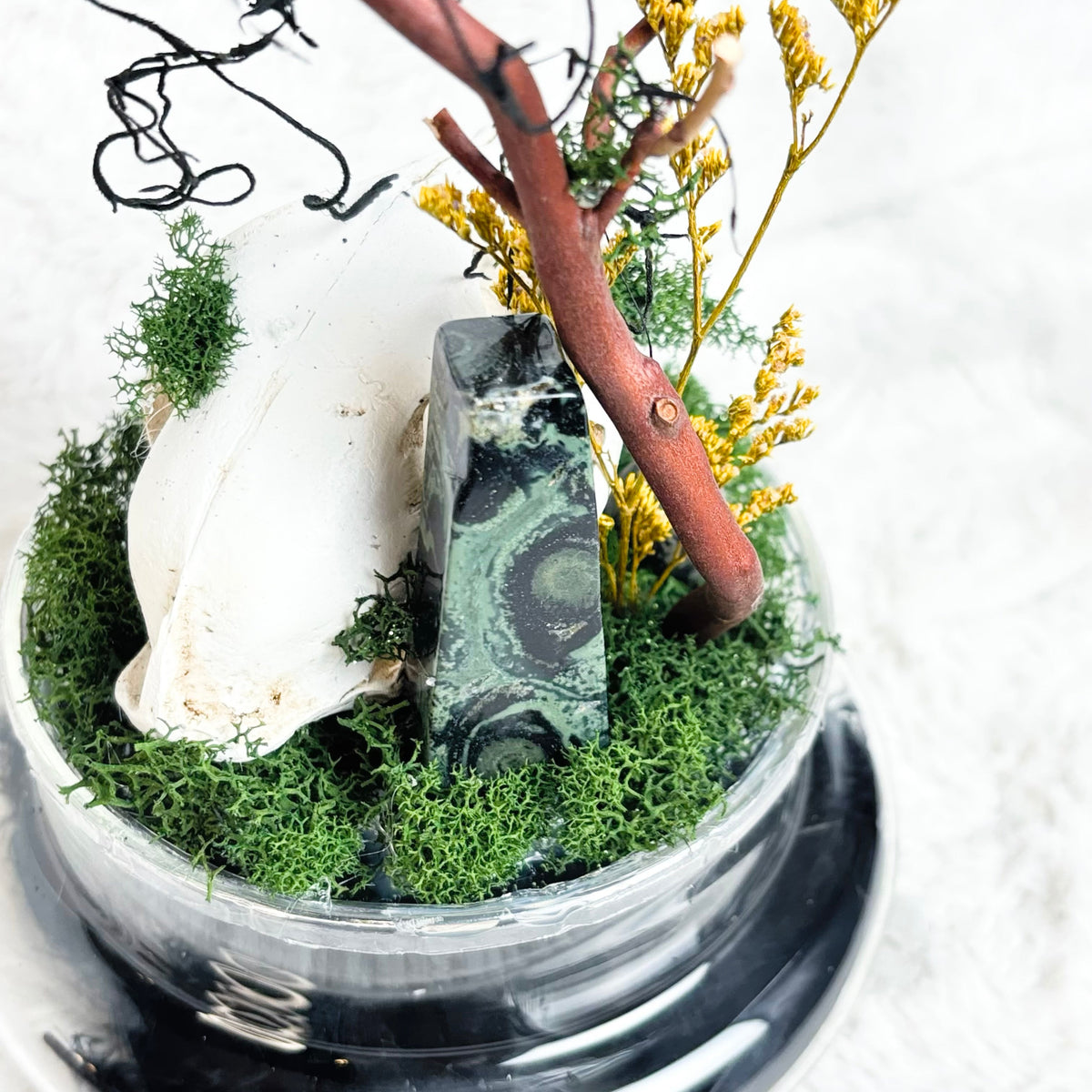 A decorative tabletop arrangement in a clear glass dish with a black saucer, featuring green moss, a white shell, a green-and-black agate stone, yellow dried flowers, and brown twigs on a white textured background.