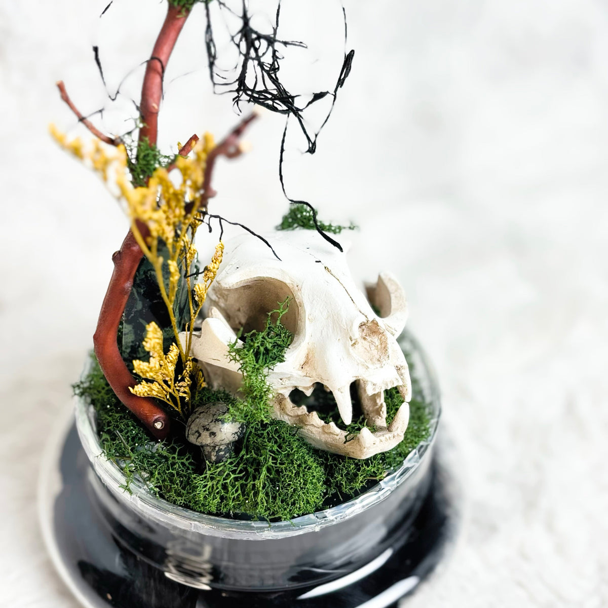 A decorative miniature diorama or terrarium featuring a small animal skull, green moss, yellow dried flowers, a reddish-brown branch, and black twigs arranged in a clear glass dish with a black saucer, set against a soft white textured background.
