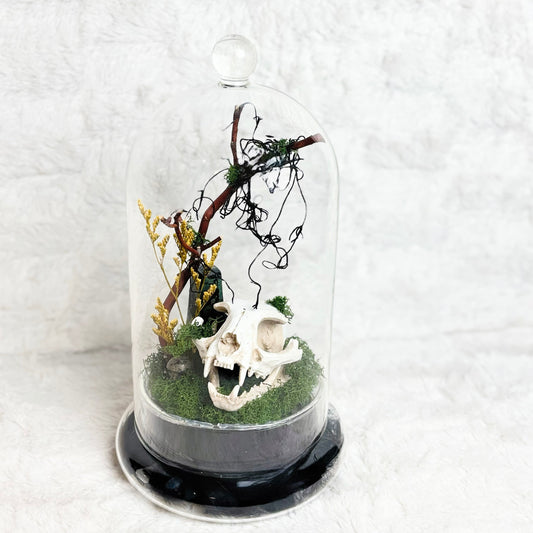 A miniature animal skull diorama under a clear glass cloche dome, featuring green moss, twigs, and small dried plants on a black circular base, set against a textured white background.
