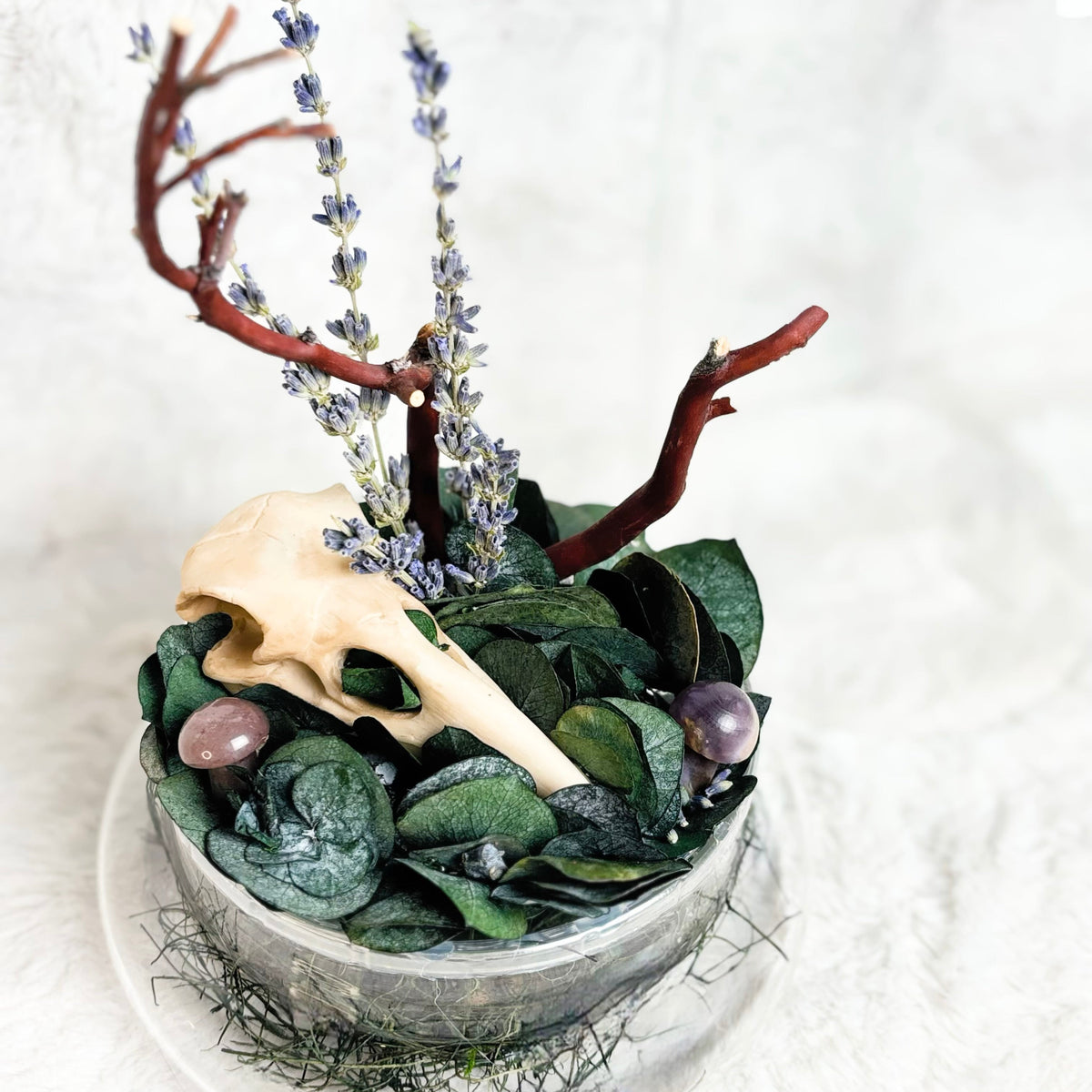 A decorative arrangement in a small gray bowl featuring dark green leaves, purple crystal stones, lavender sprigs, a light beige animal skull, and reddish-brown branches, set on a white textured background.