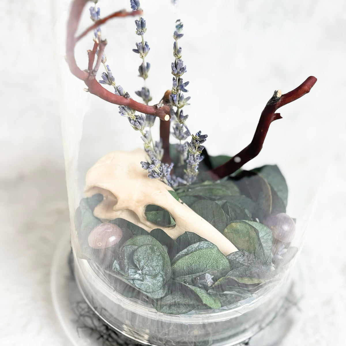 A clear glass terrarium dome containing green leaves, small purple flowers, reddish-brown branches, and a cream-colored animal skull, set on a white textured fabric background.