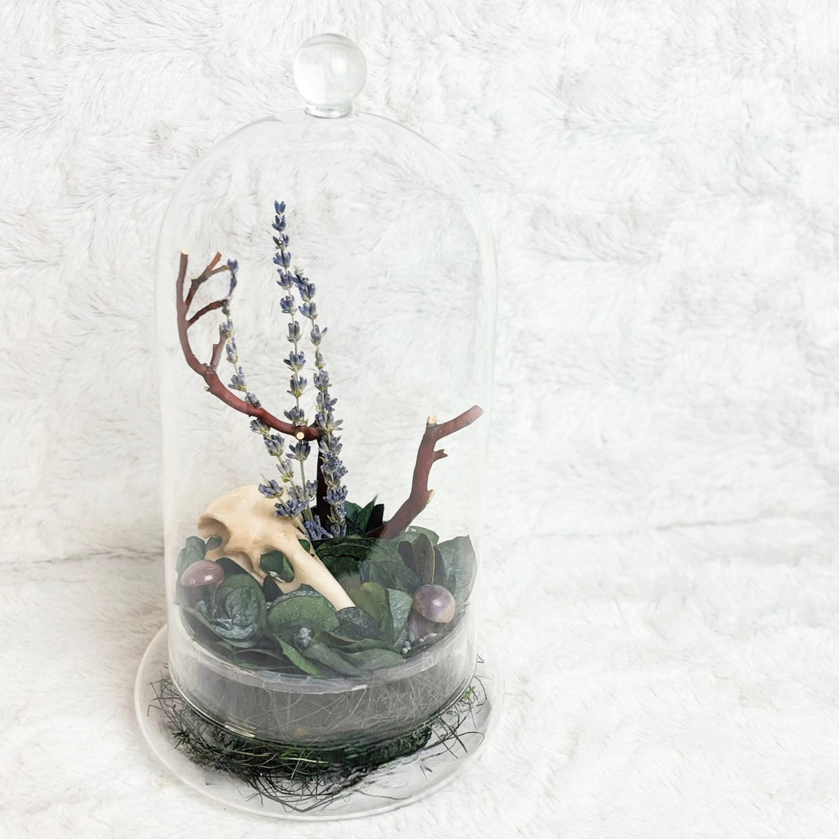 A clear glass cloche dome terrarium containing green leaves, small purple flowers, twigs, and a light beige animal skull, displayed on a white textured fabric background.
